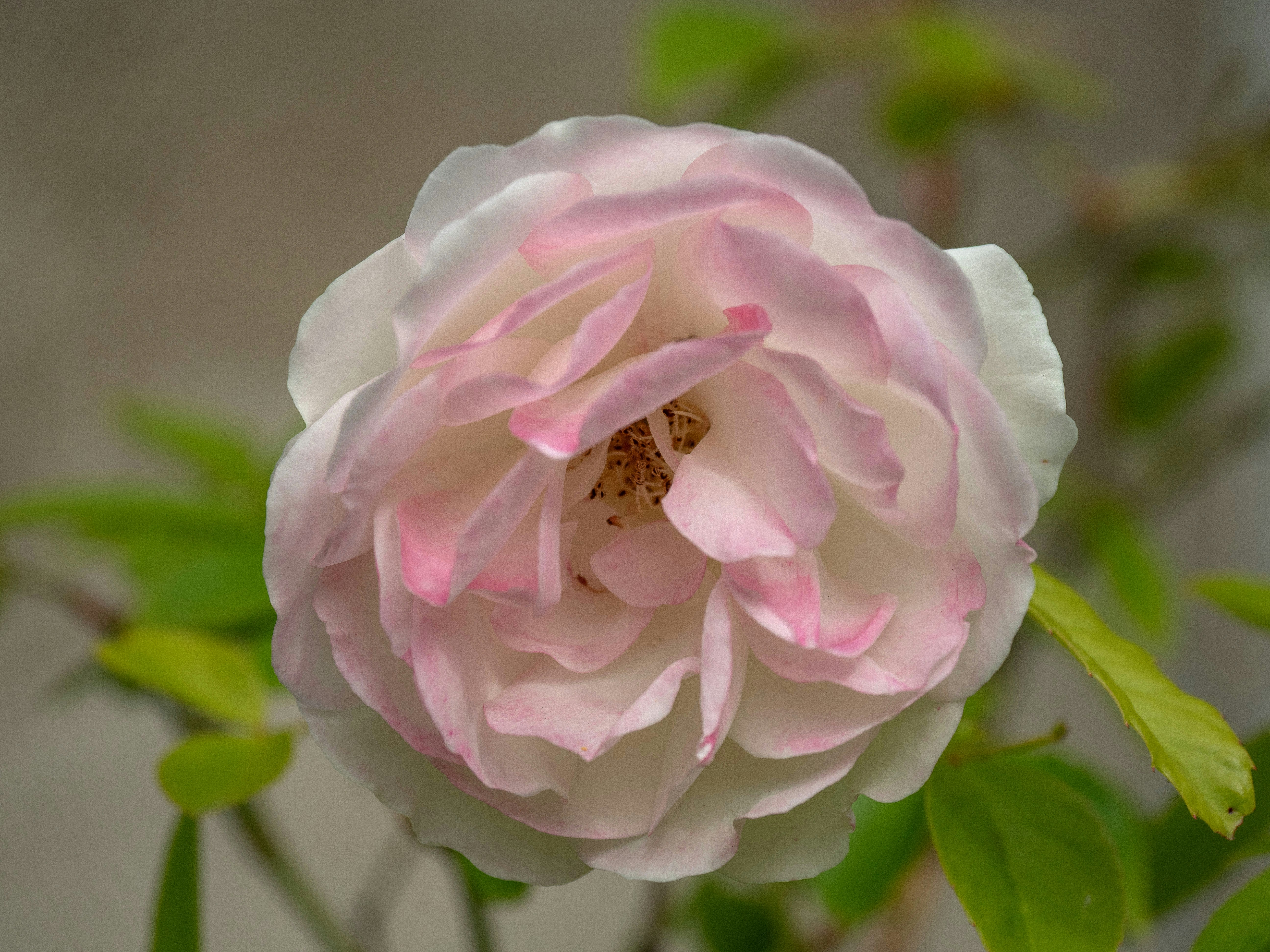 Photo by brett_jordan