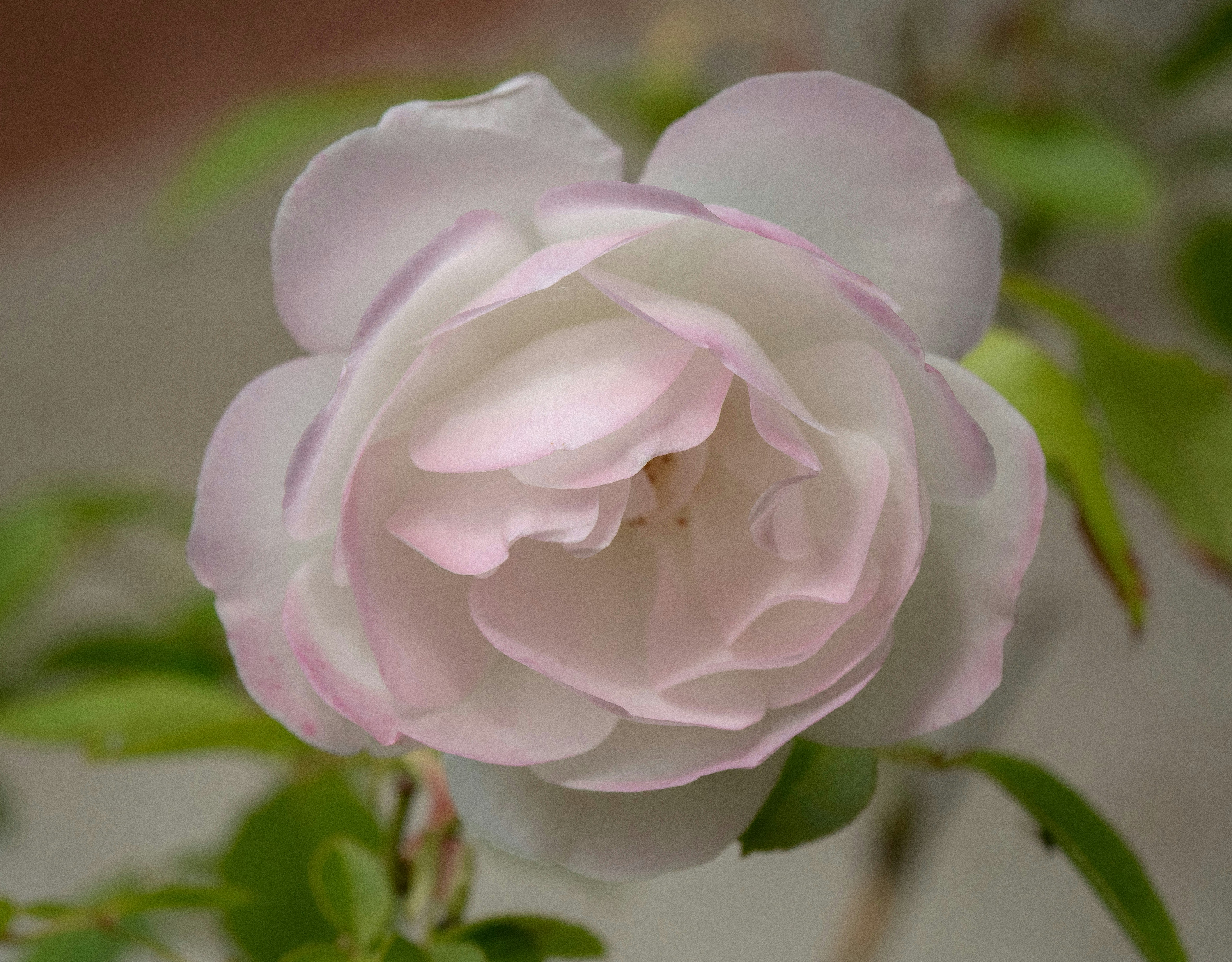 Photo by brett_jordan