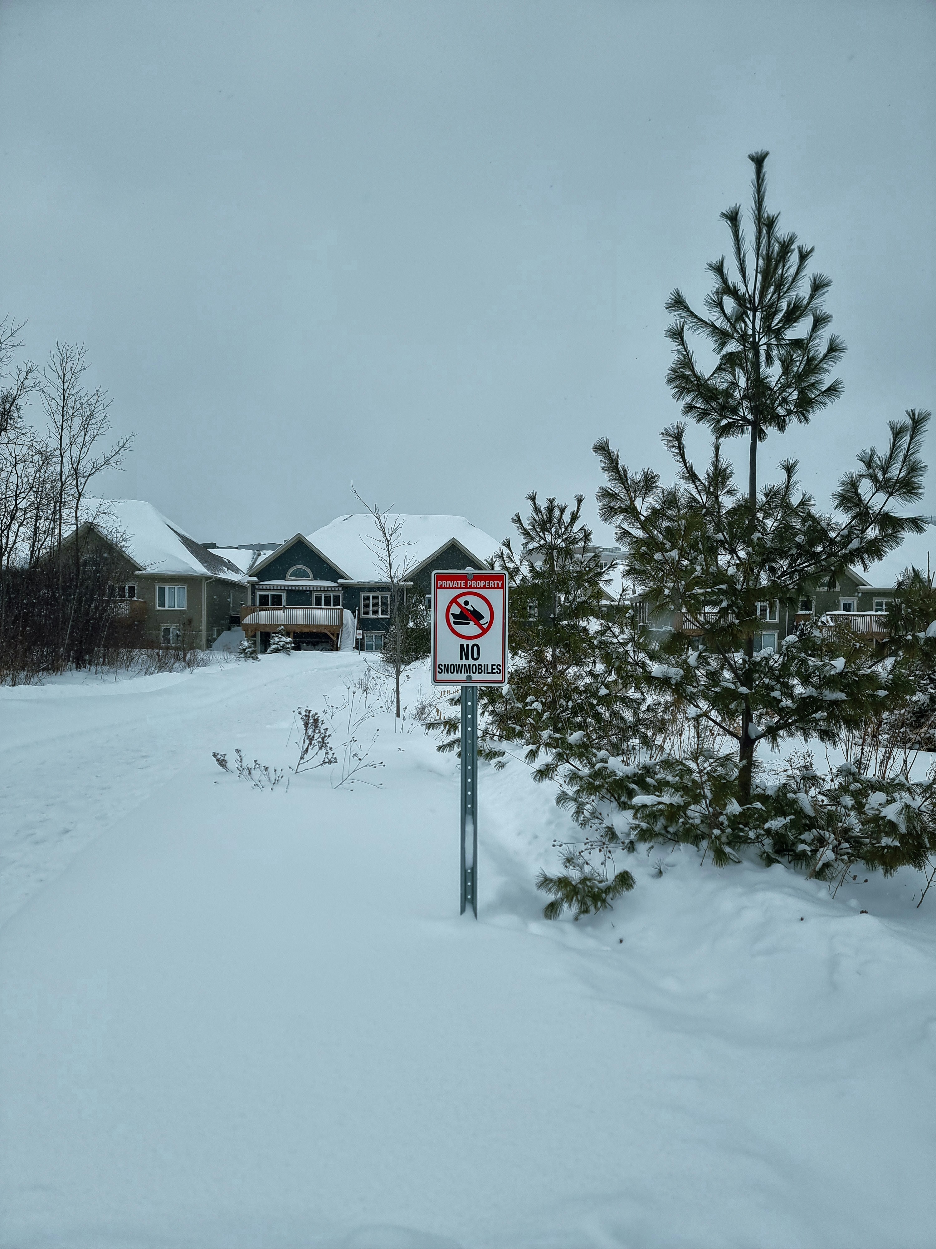 この通りでのスノーモービルの乗り入れは禁止されています。