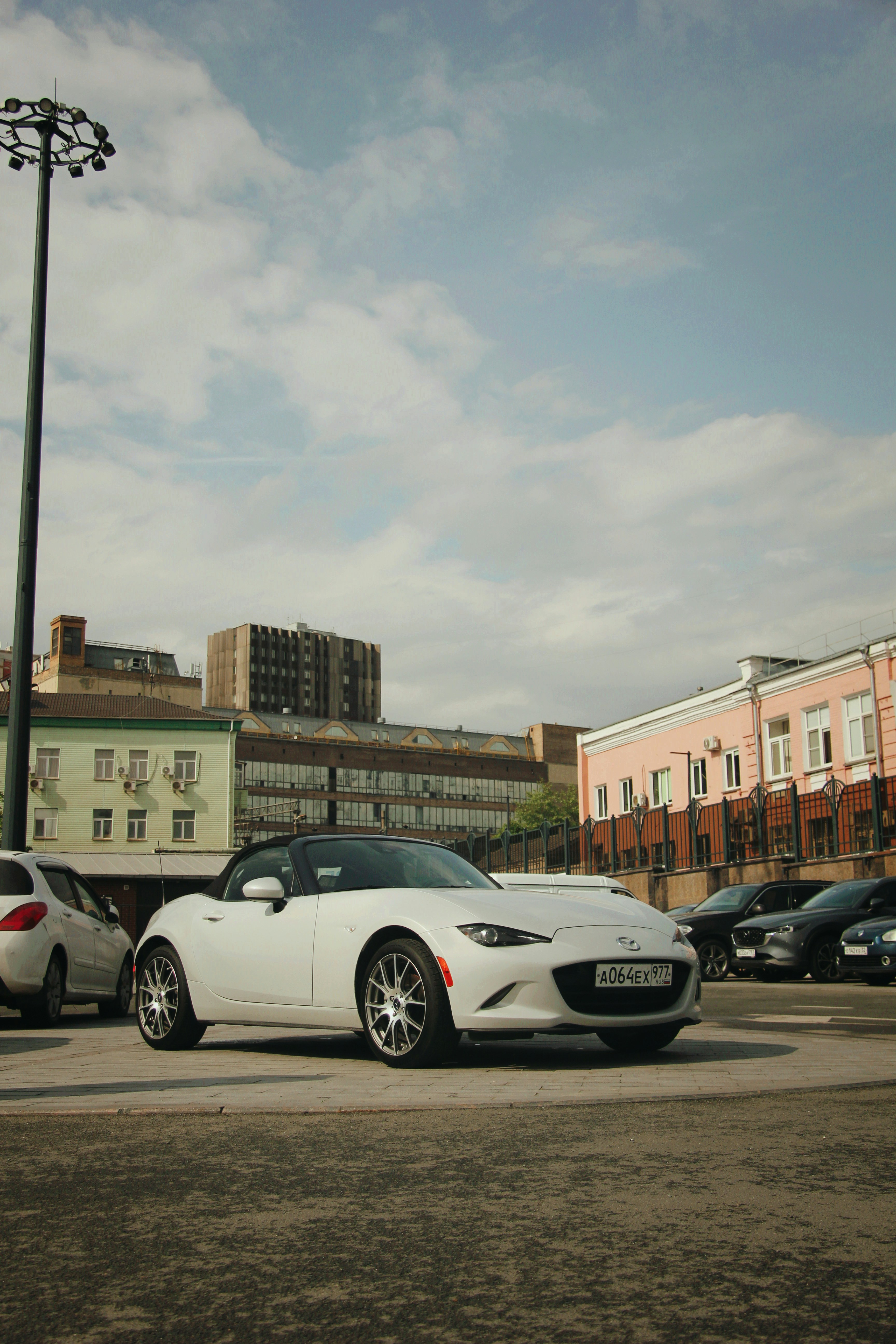 Photo by felis_catus