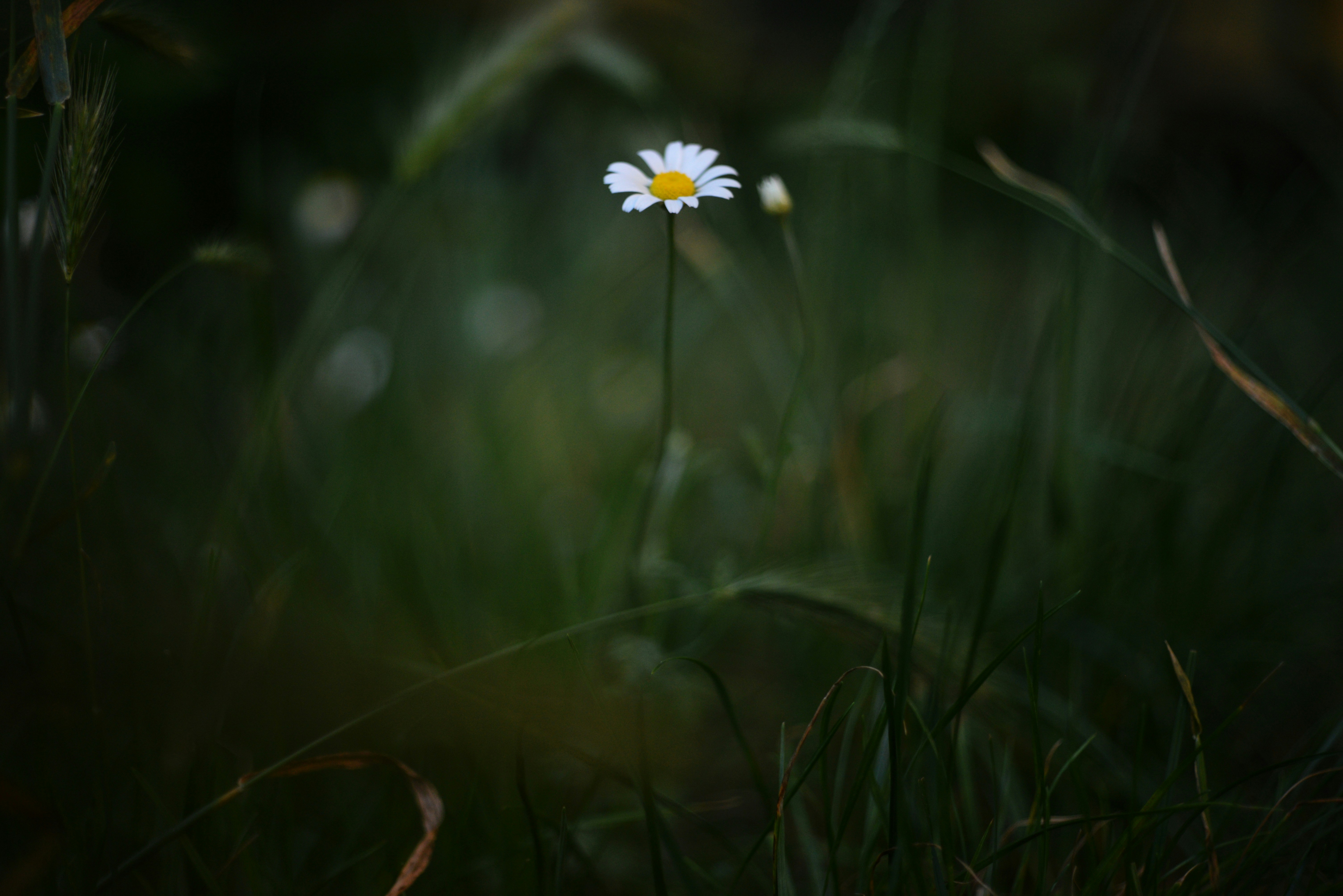 Photo by cherstve_pechivo