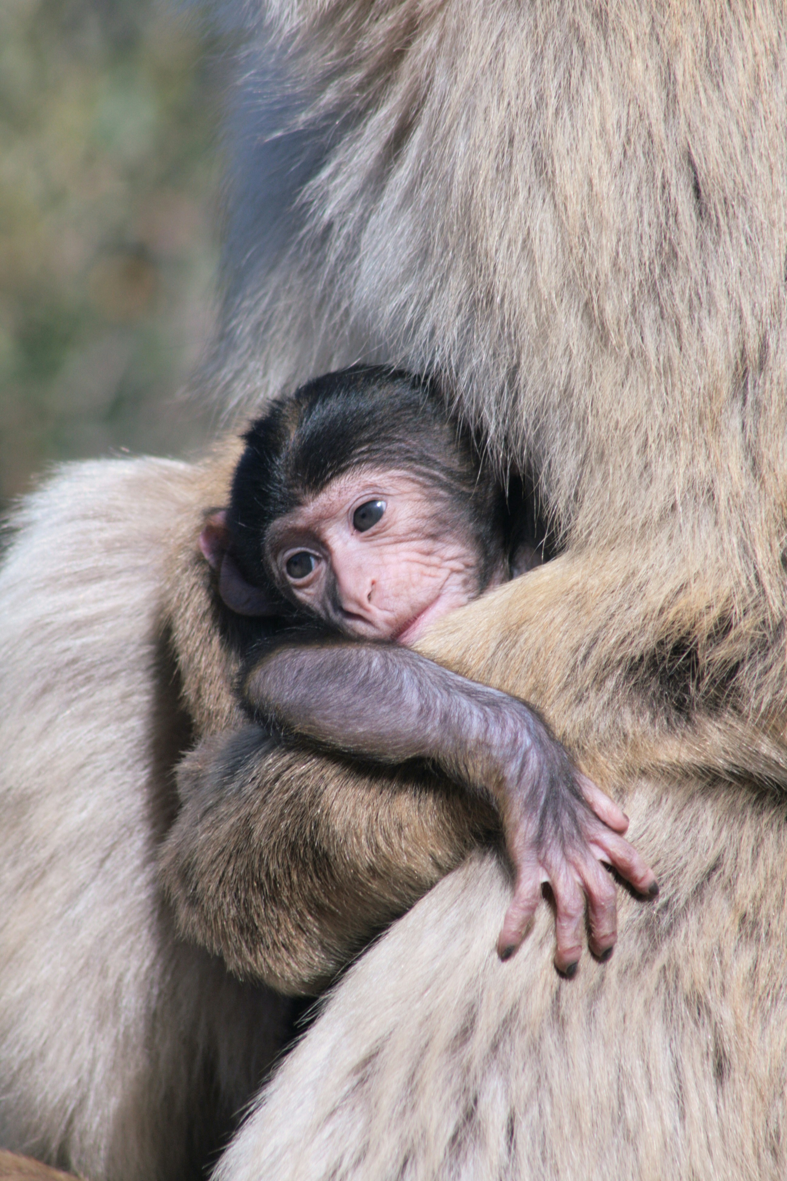 Photo by bretrfink23