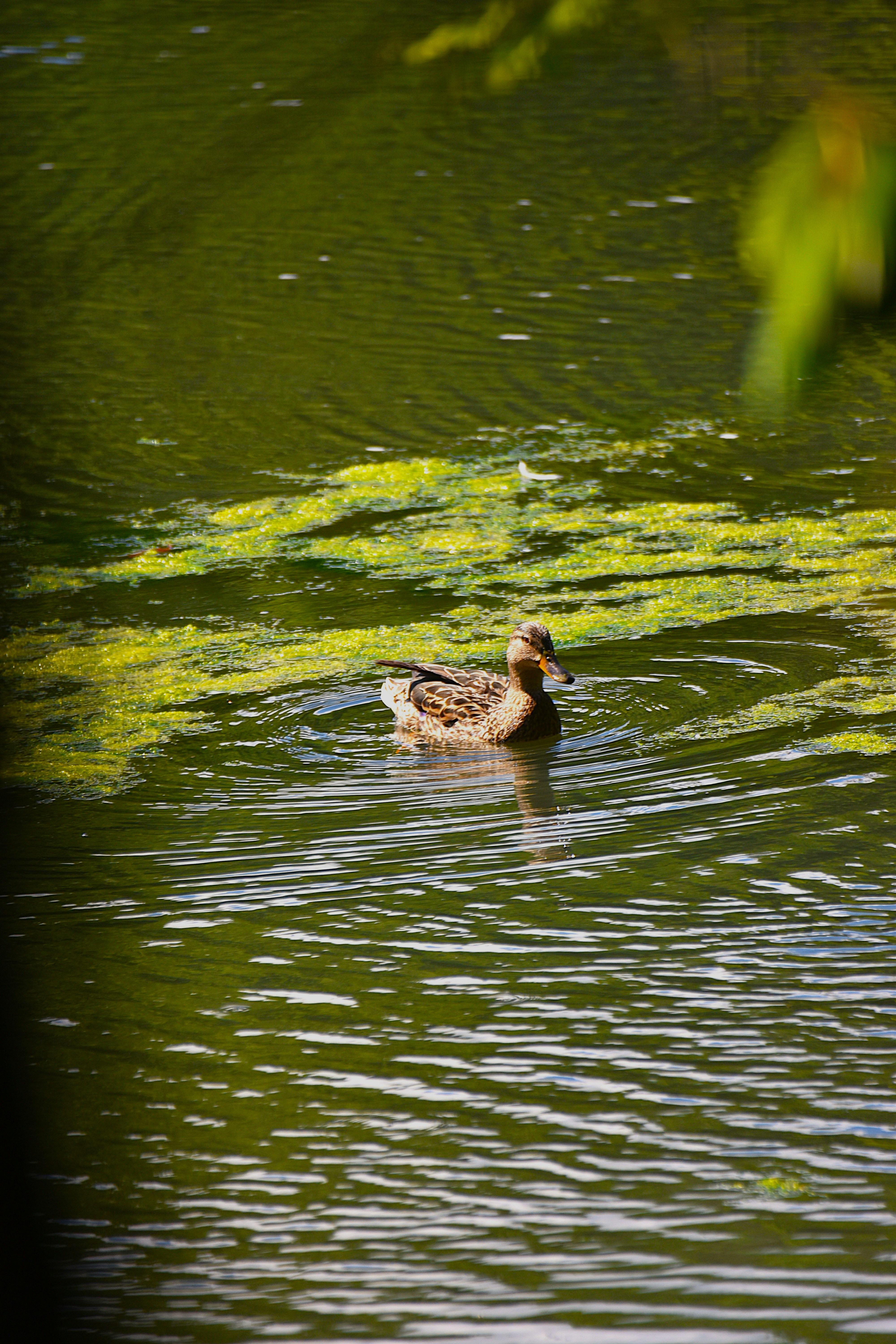 Photo by znphotogarphy