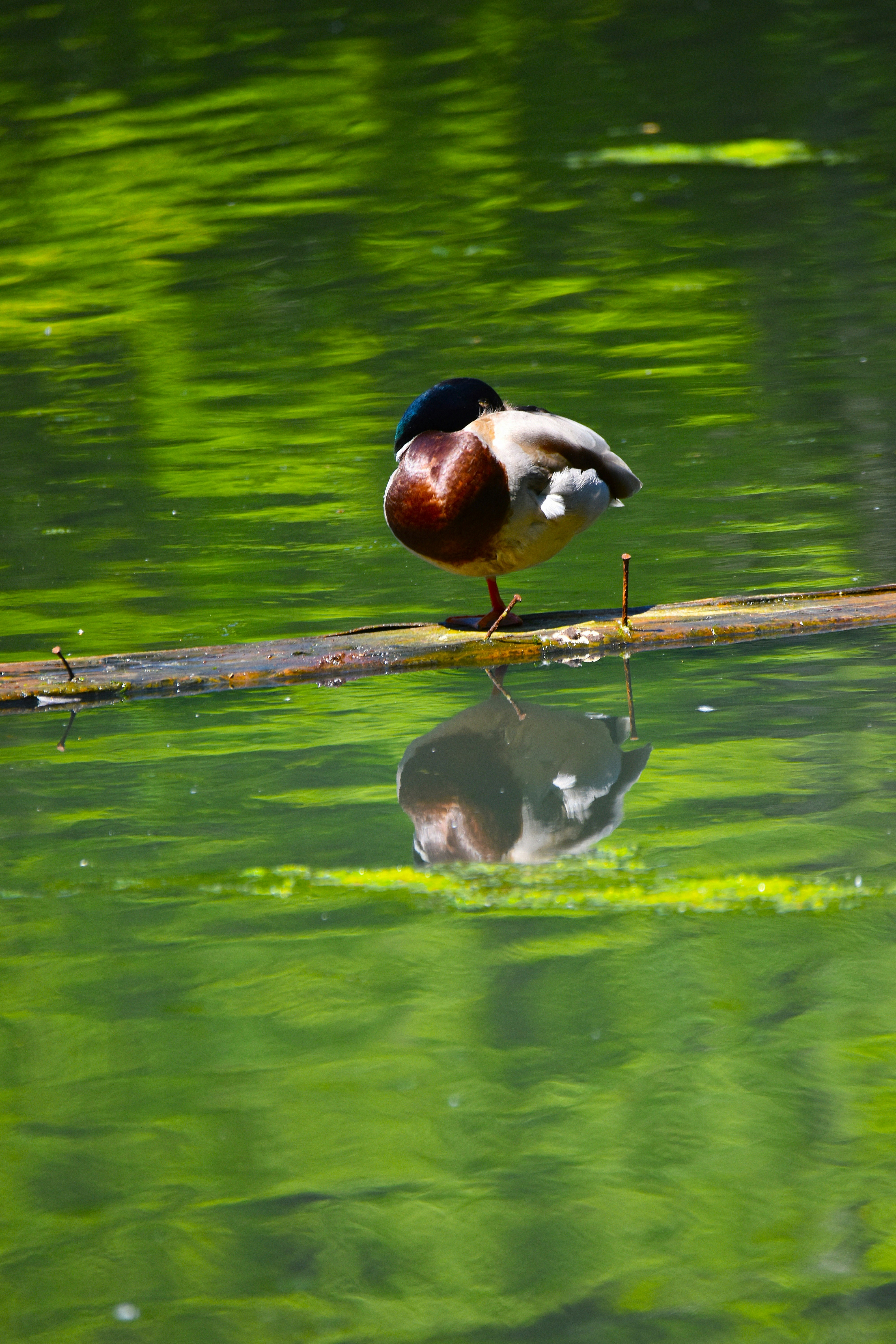 Photo by znphotogarphy