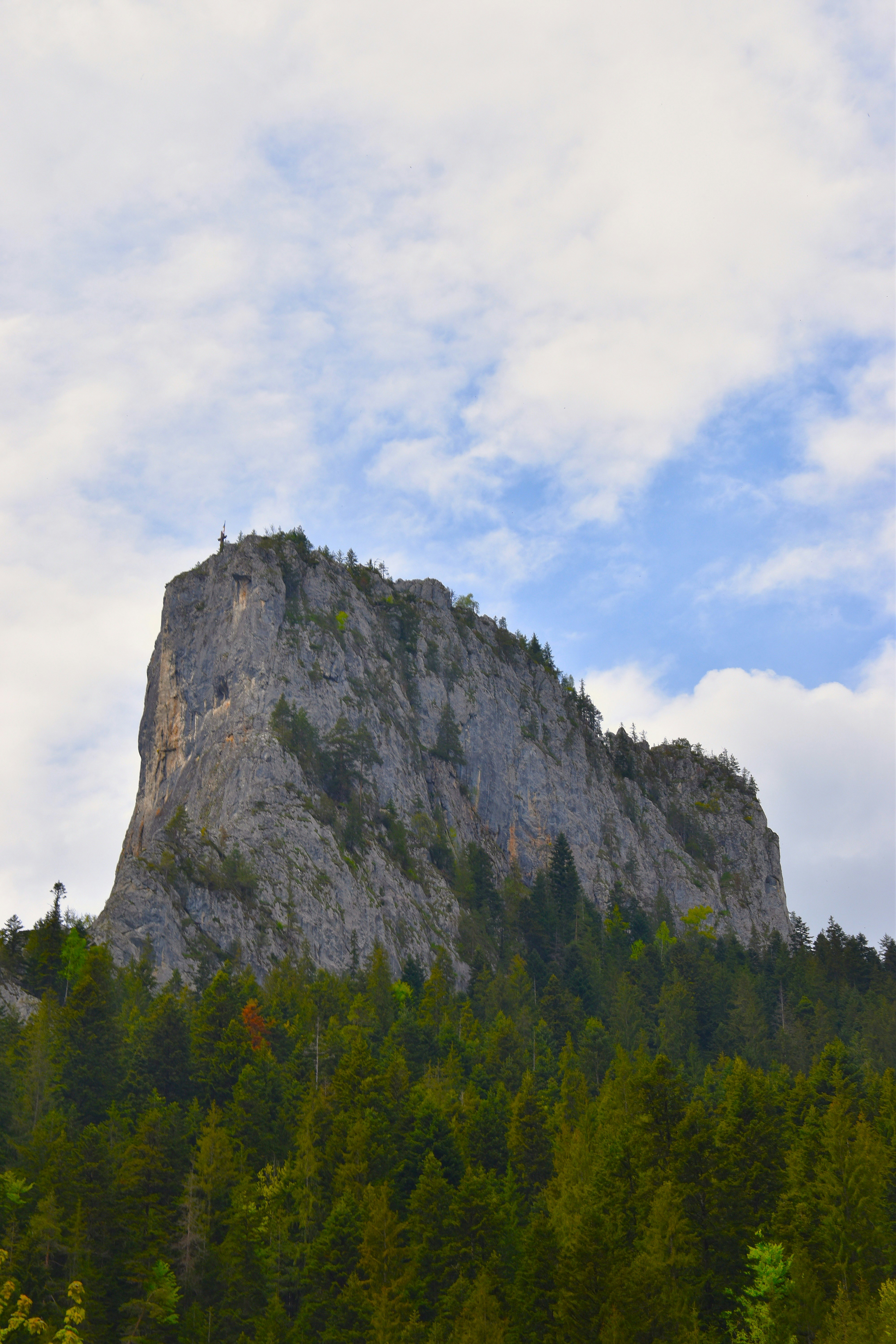 Photo by znphotogarphy