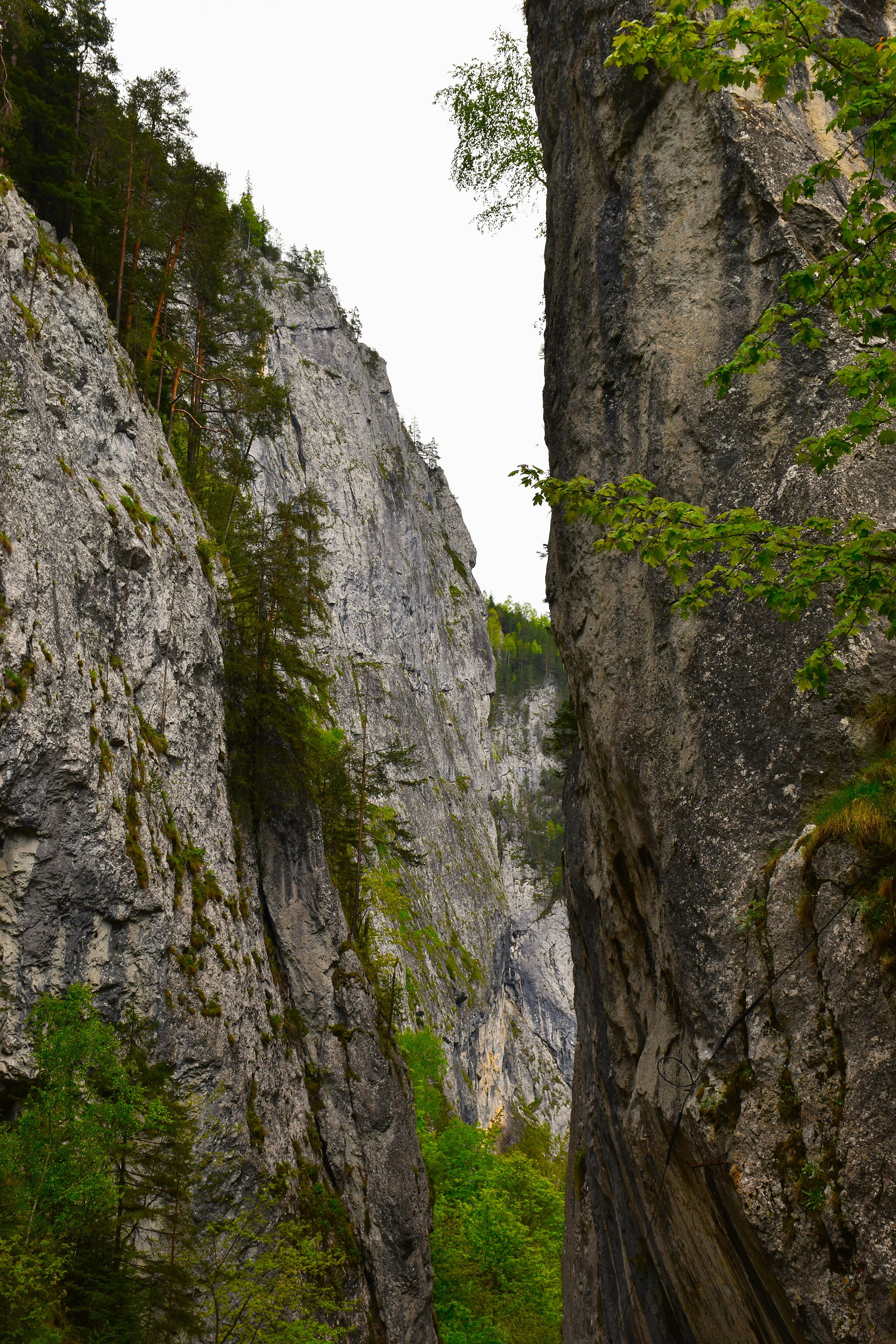 Photo by znphotogarphy