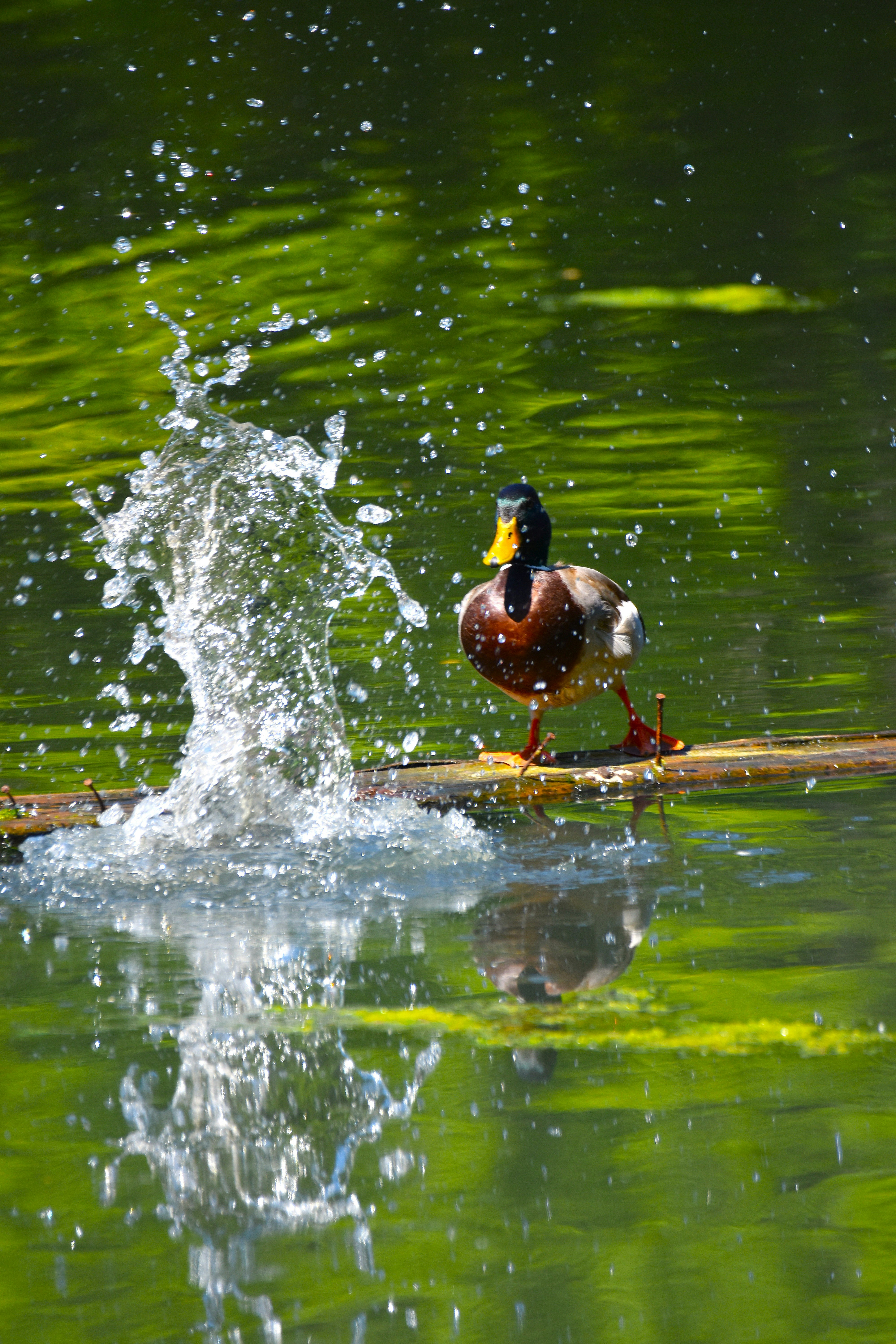 Photo by znphotogarphy