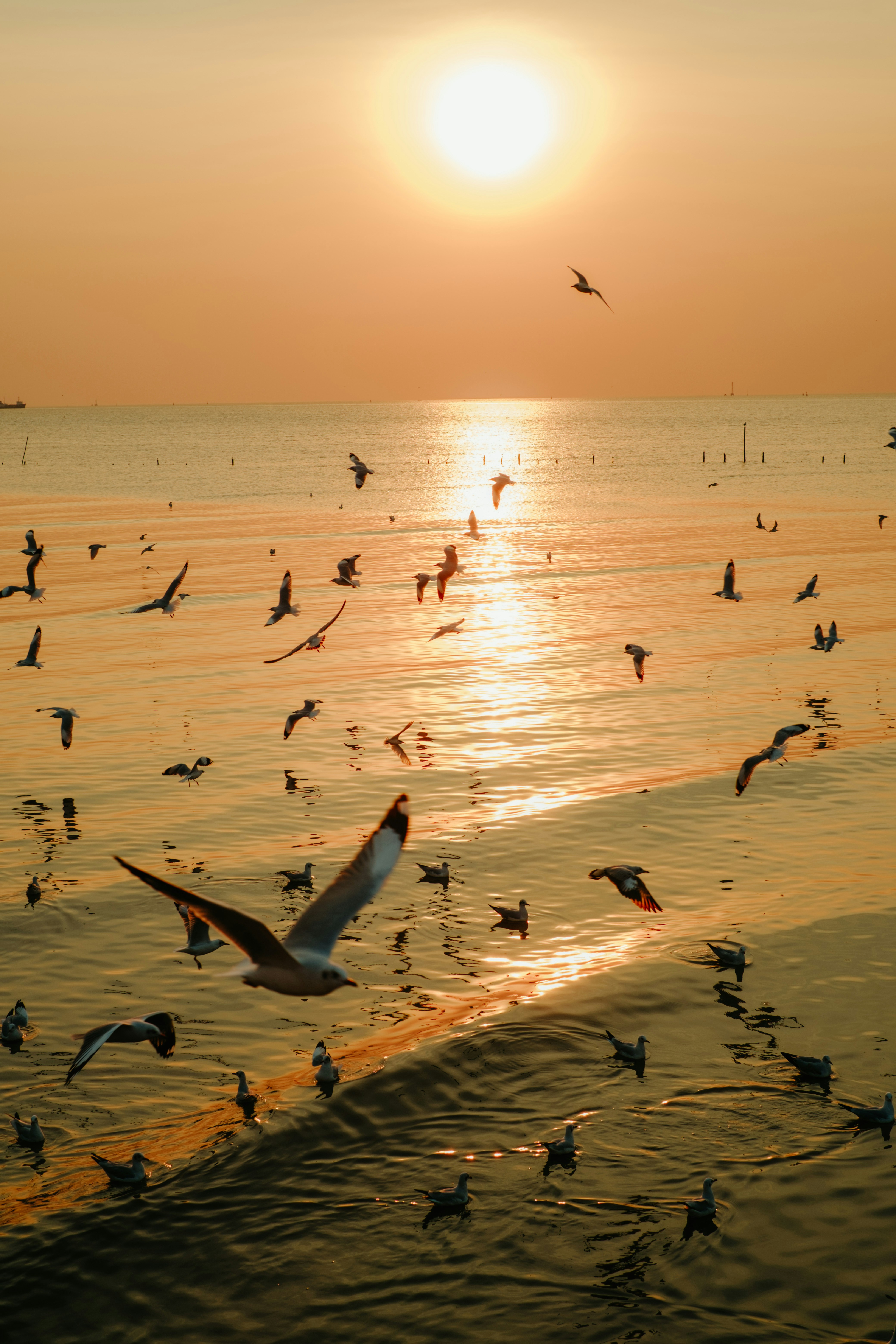 Photo by it_thitipark