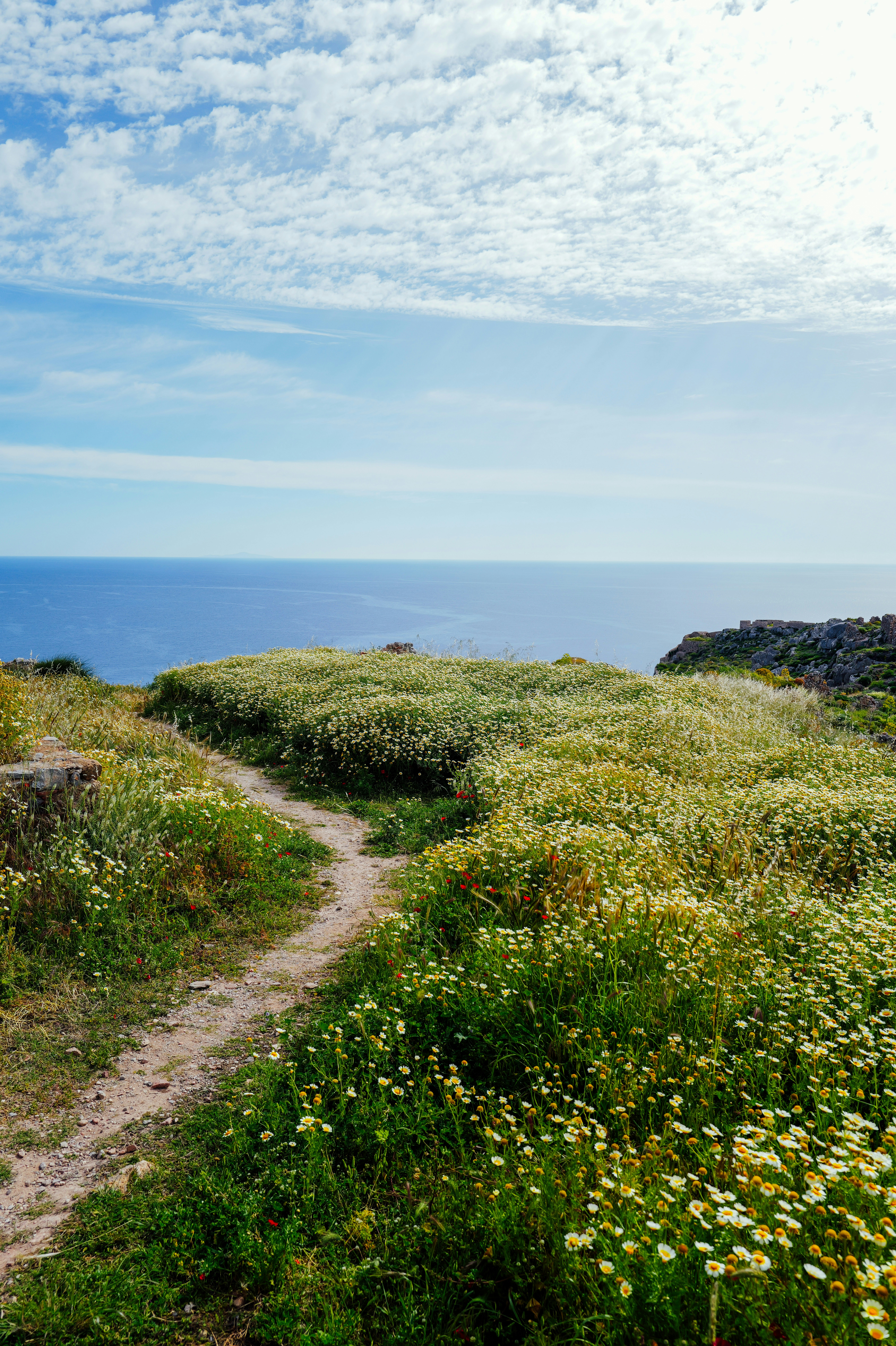 Photo by adrienolichon