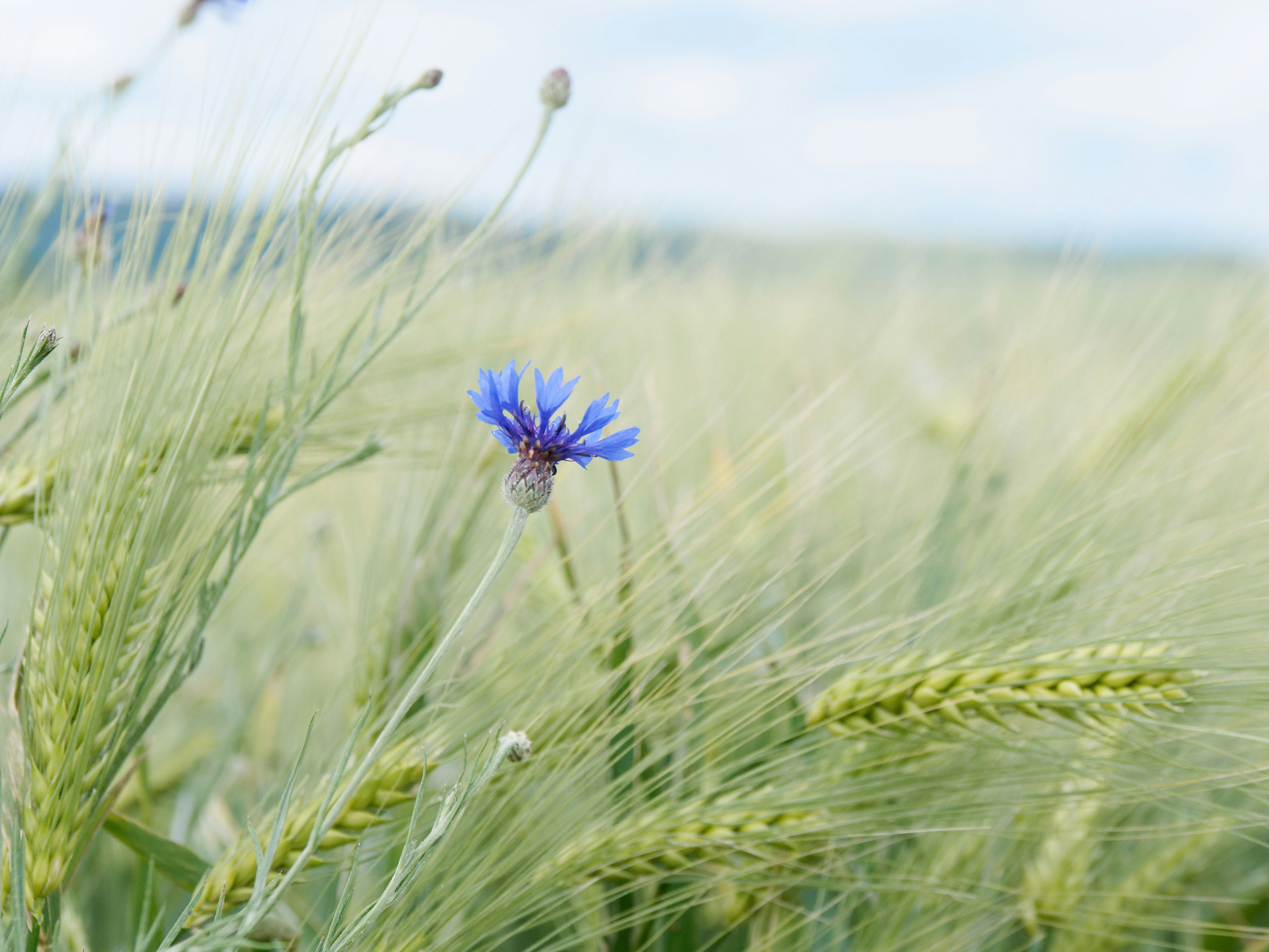 The Story Behind Emergency Car Locksmith Is One That Will Haunt You Forever!