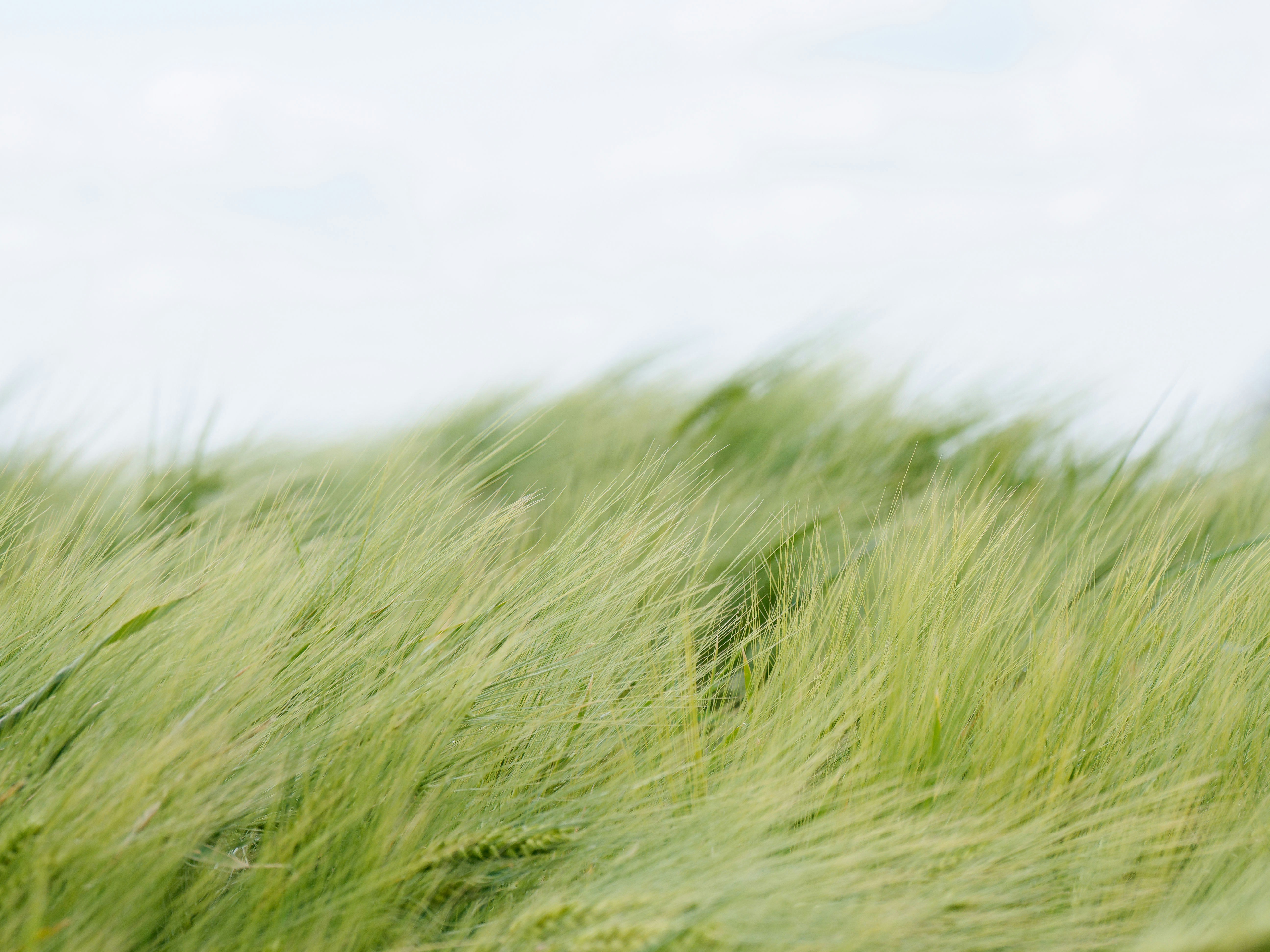 Photo by illes_cristi