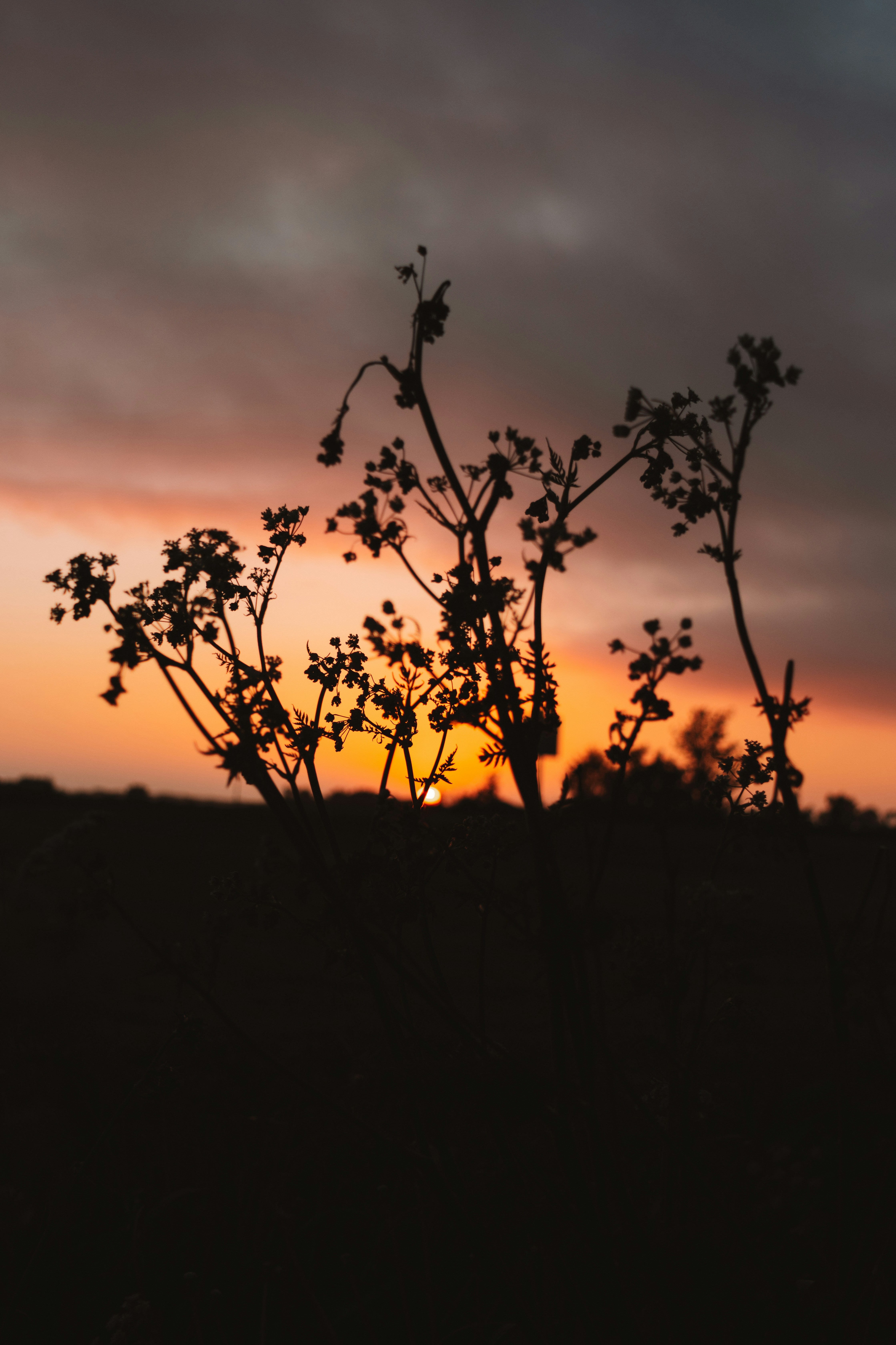 Photo by ingridmartinussen