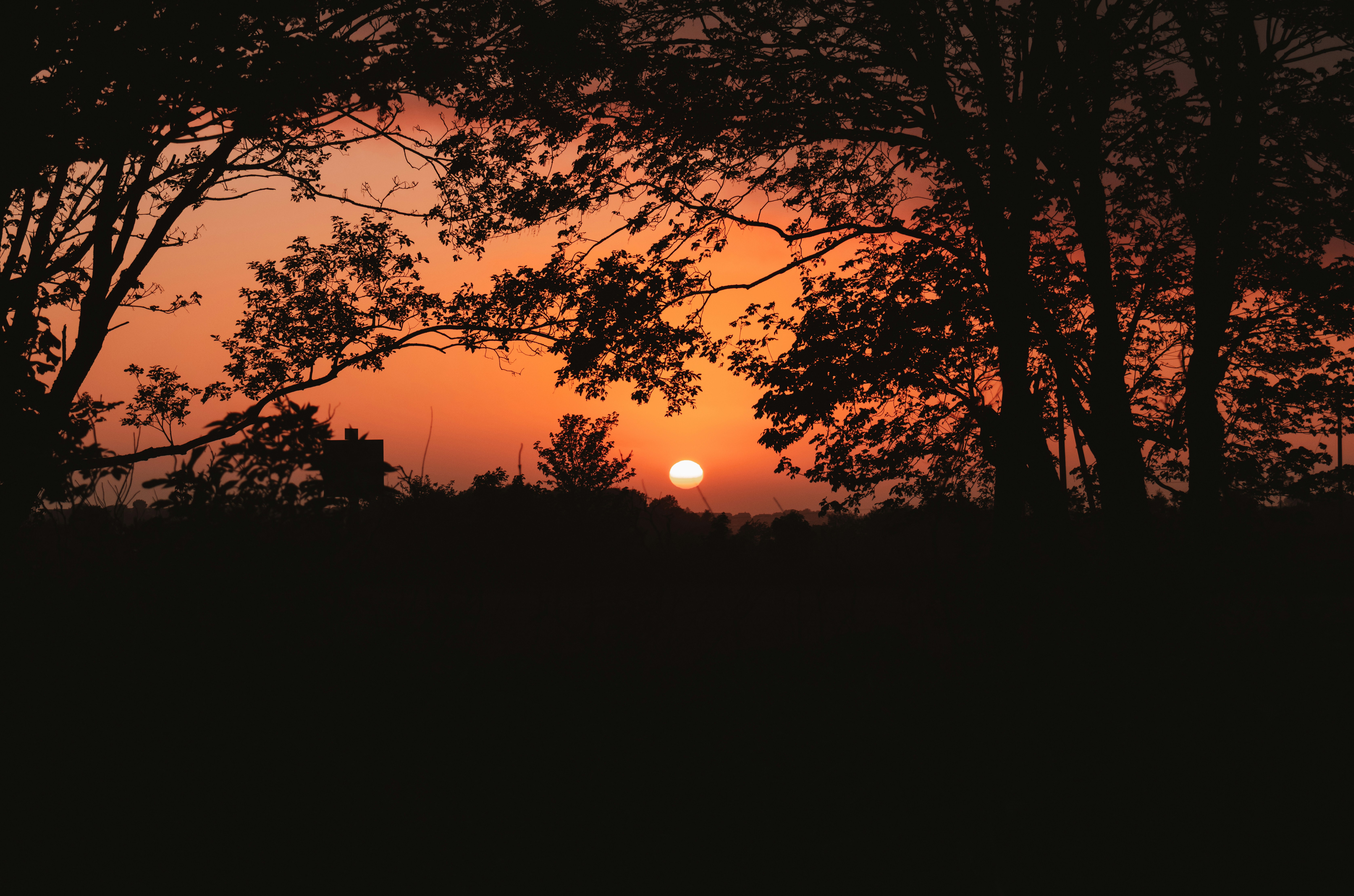 Photo by ingridmartinussen