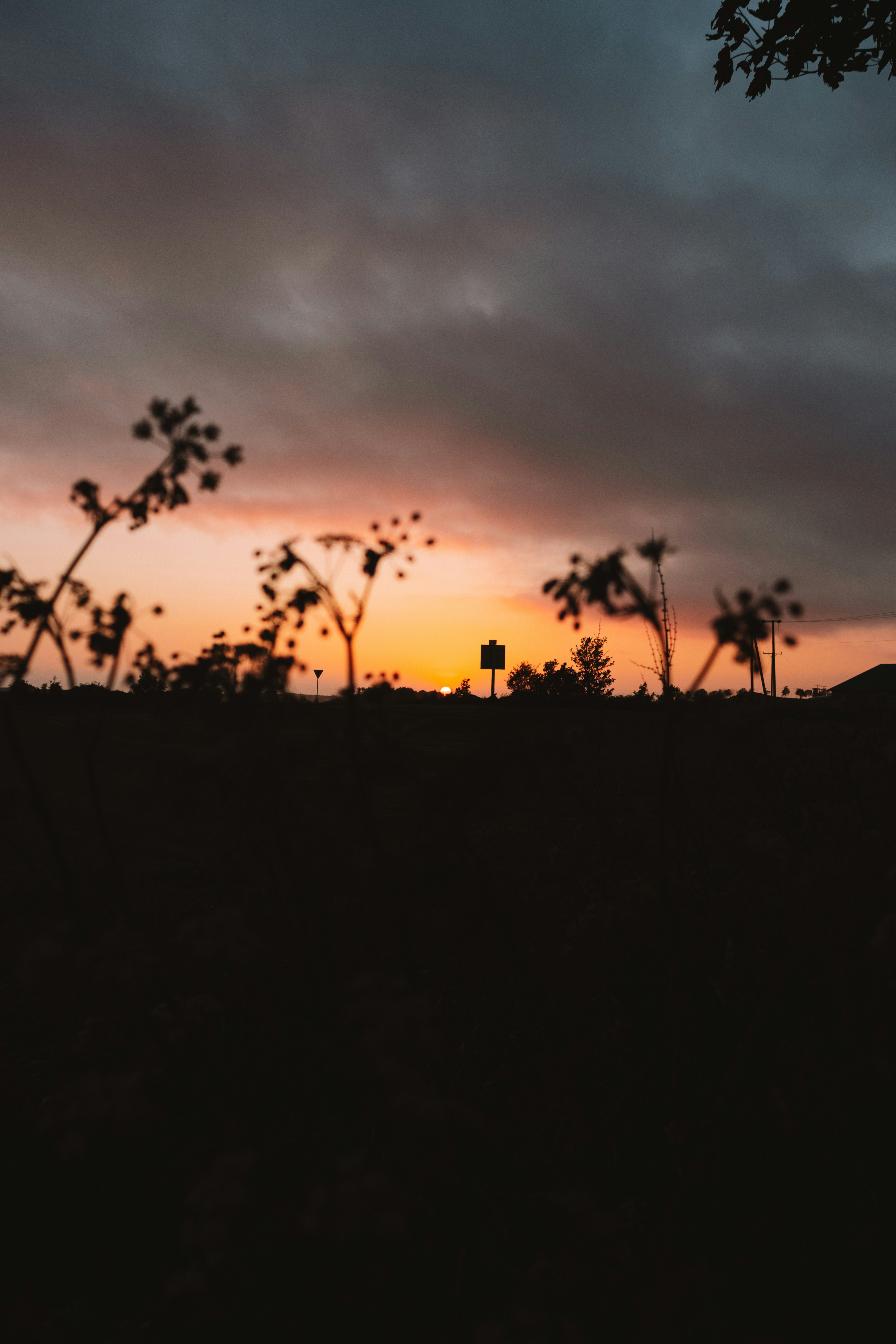 Photo by ingridmartinussen