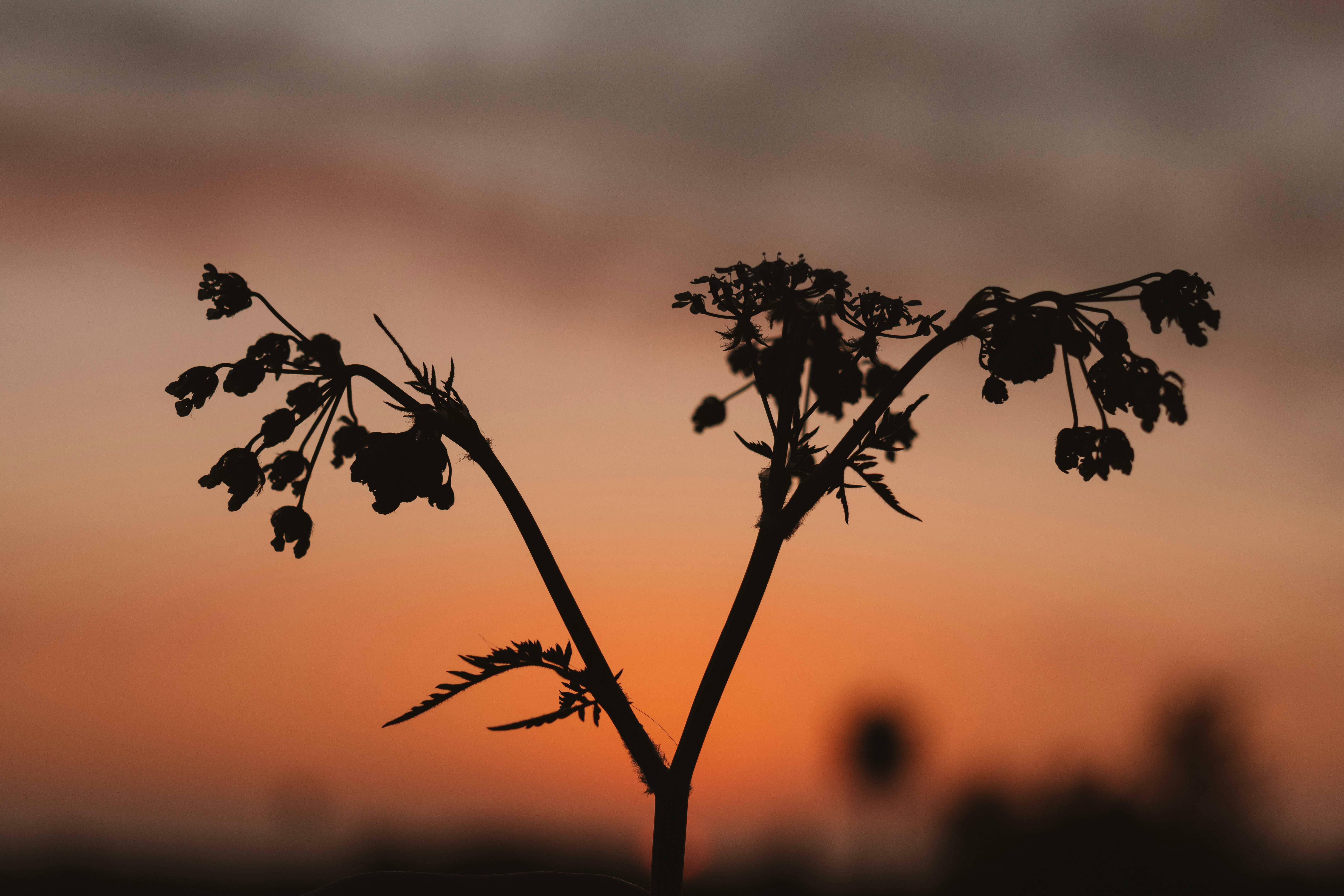 Photo by ingridmartinussen