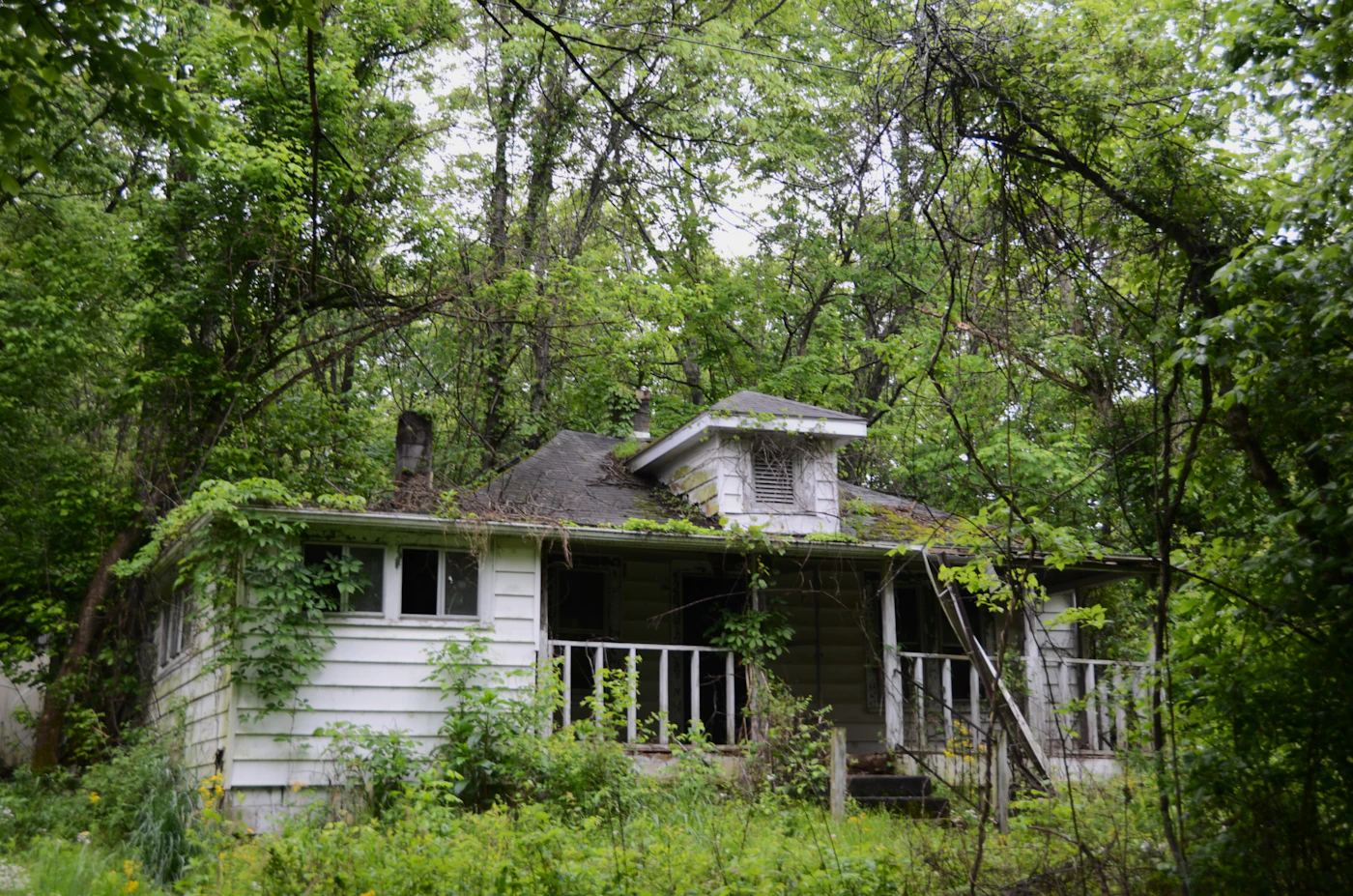 Vacant property with overgrown vegetation