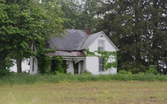 An old, weathered house is surrounded by greenery.