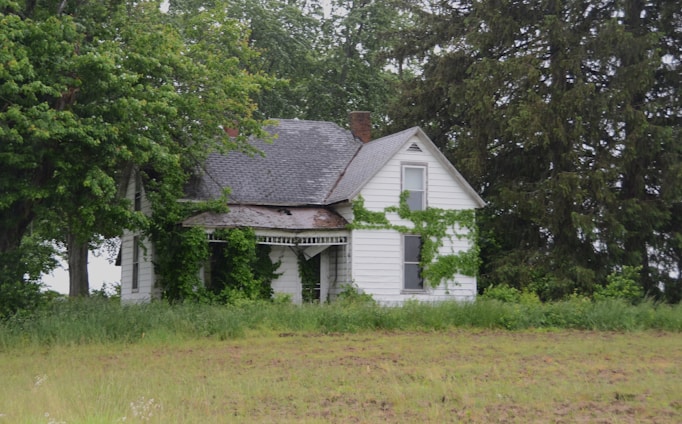 An old, weathered house is surrounded by greenery.