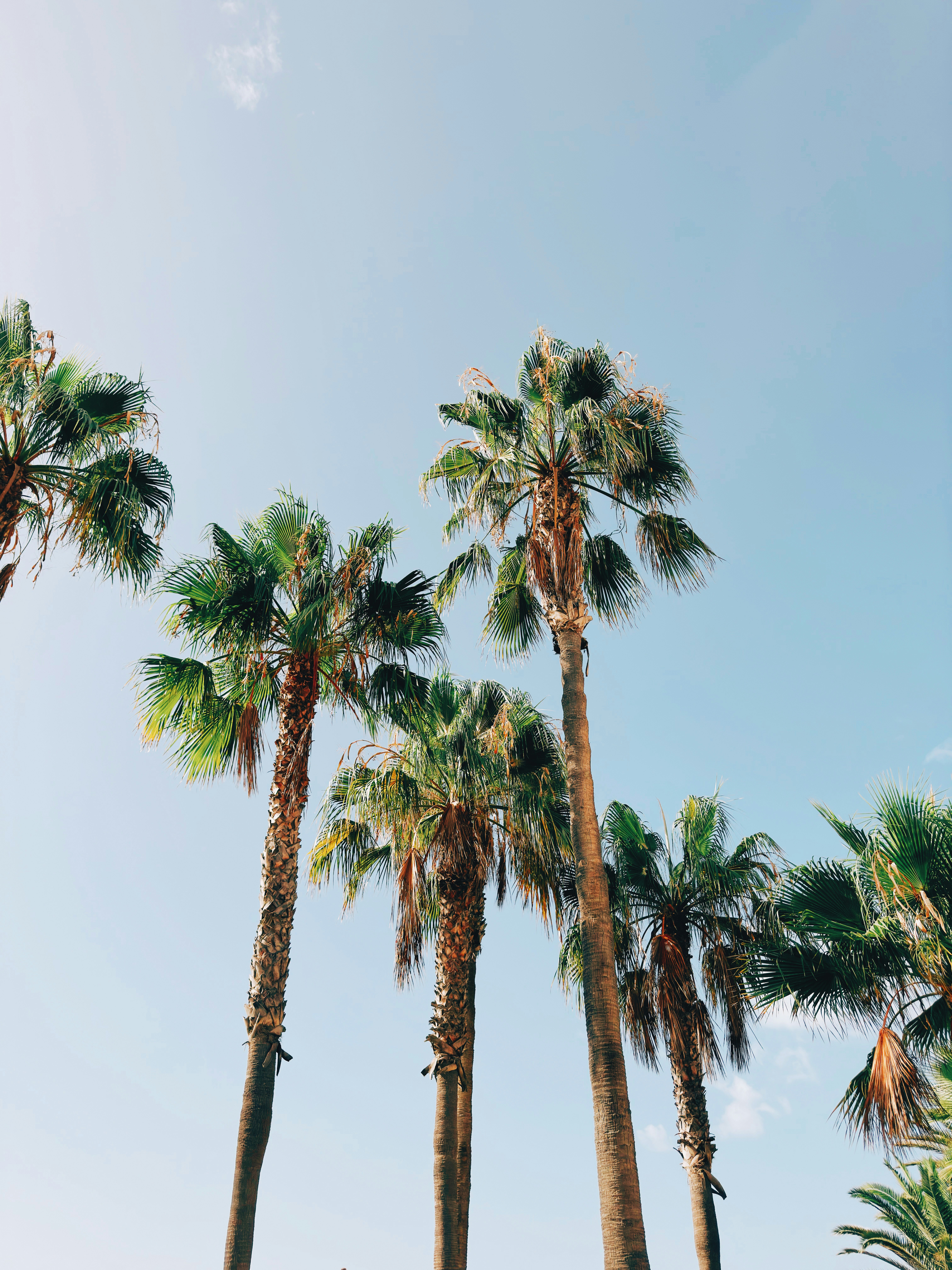 Photo by visualsbying