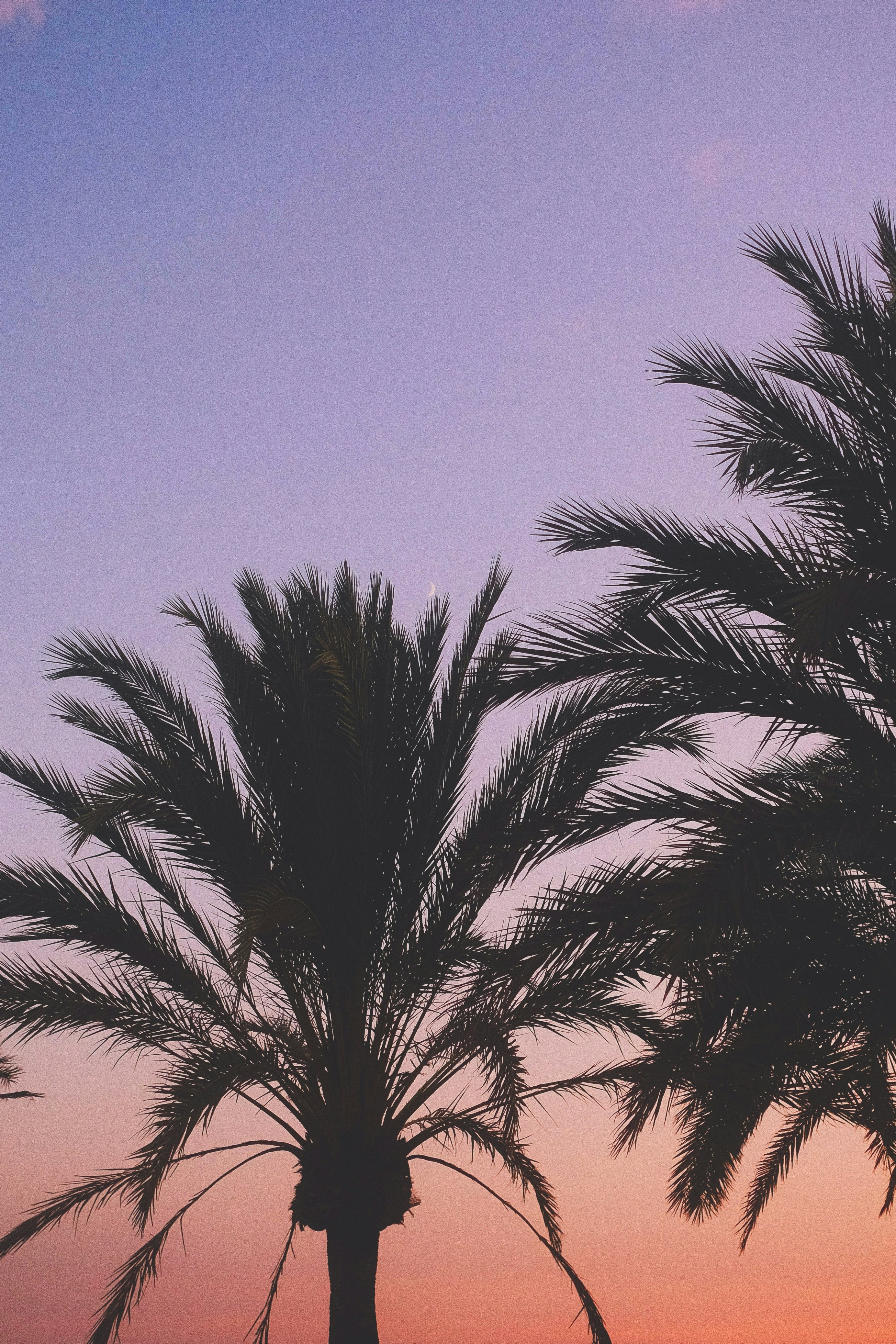 Photo by visualsbying