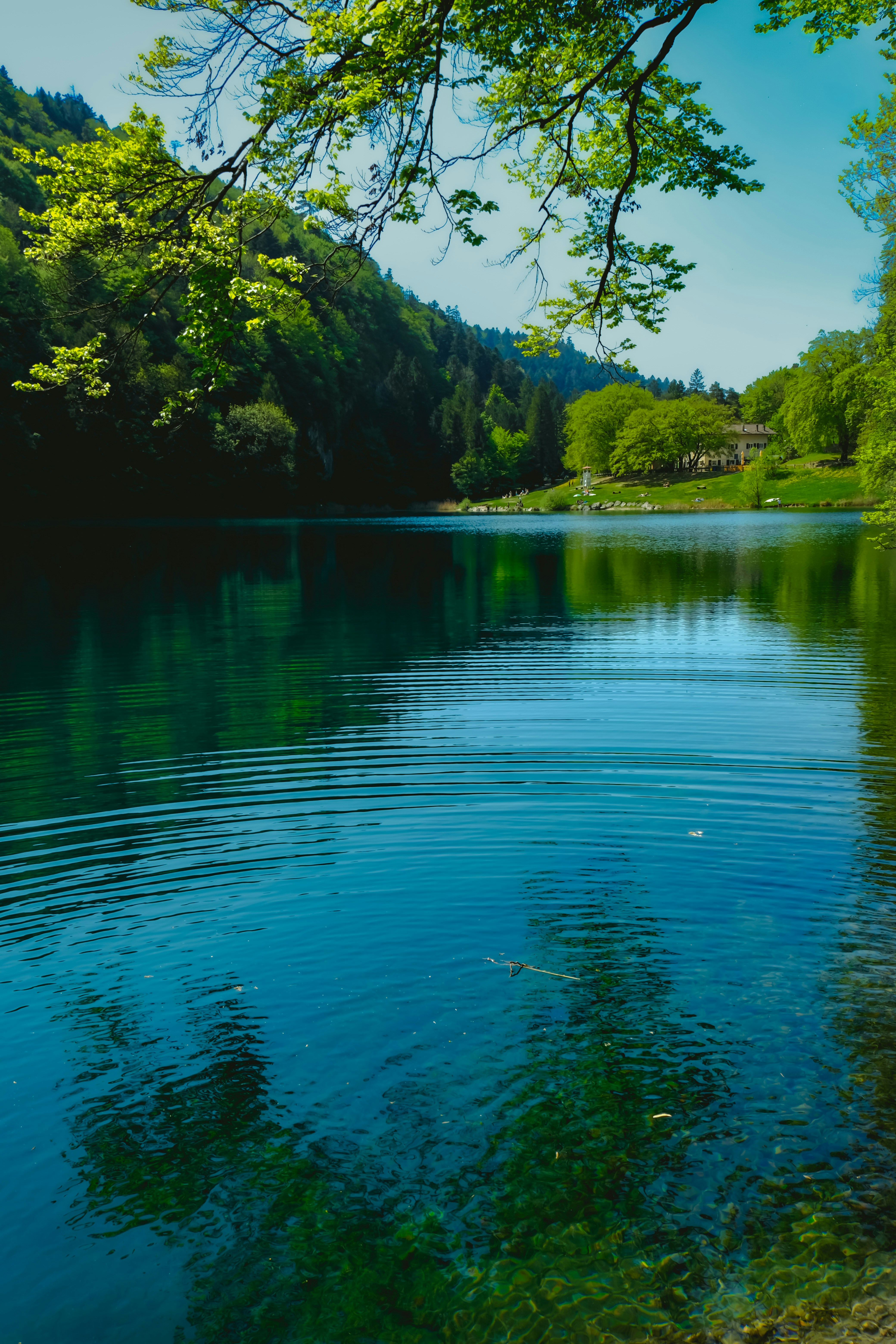 Photo by denisaficau