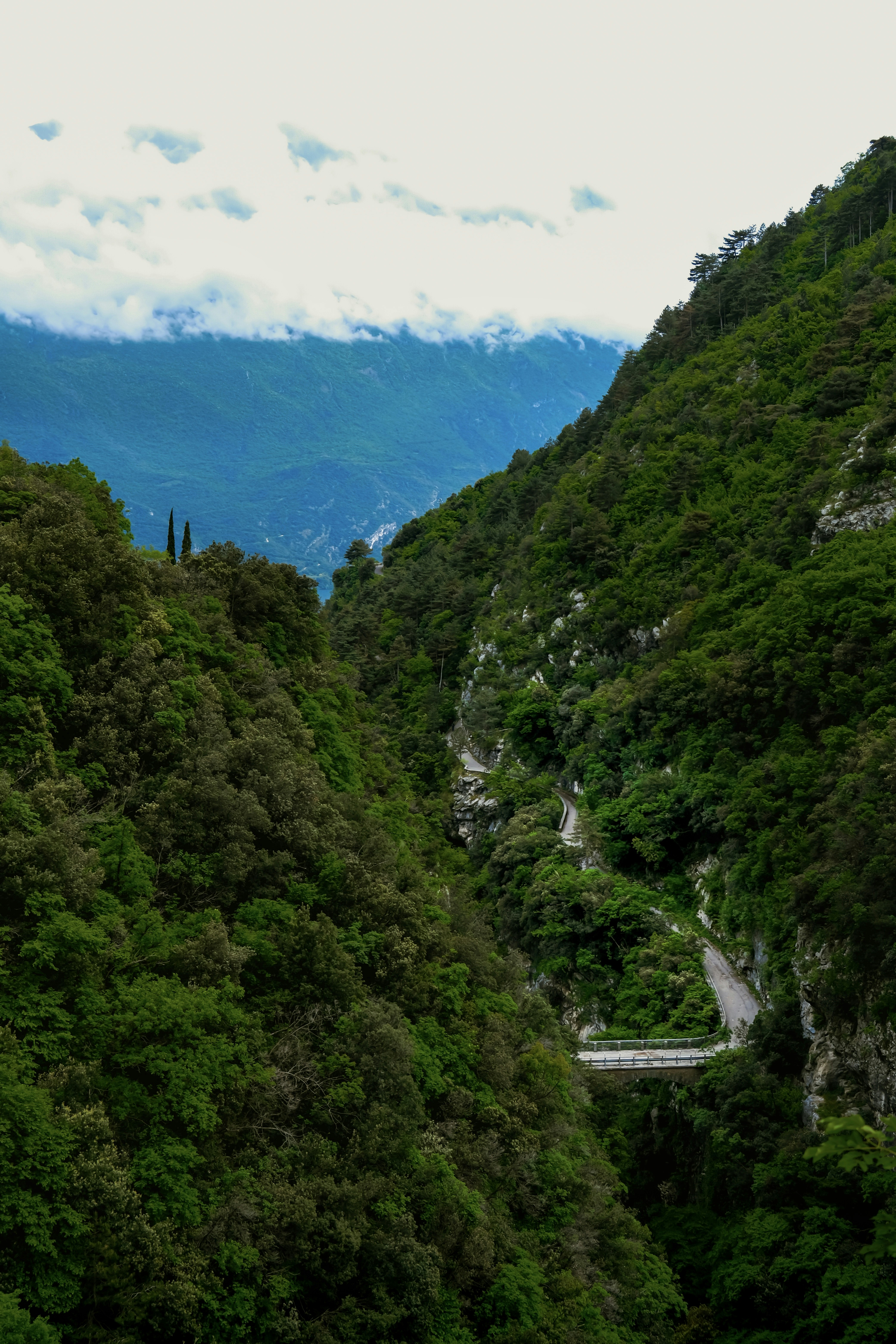 Photo by denisaficau