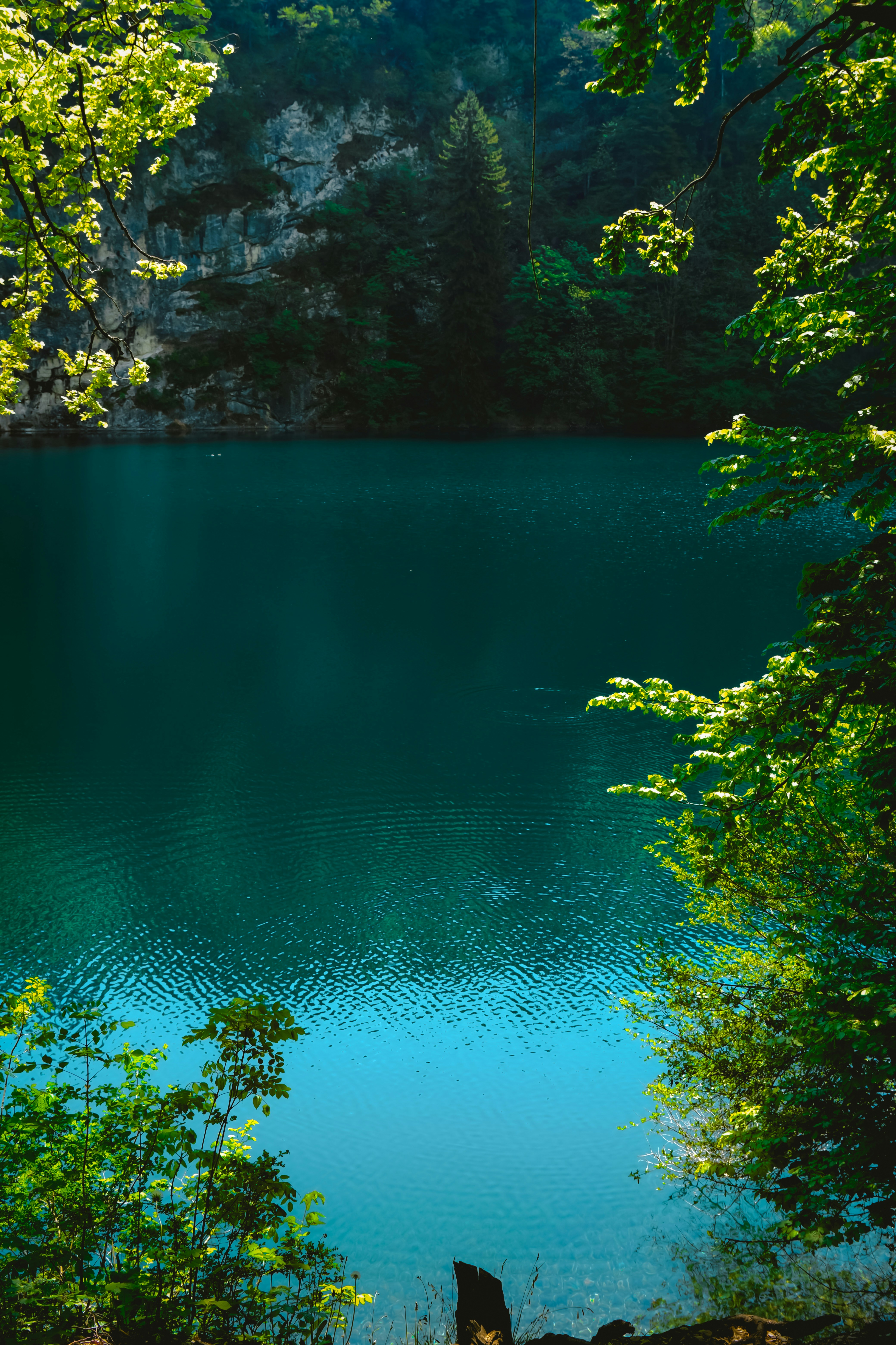 Photo by denisaficau