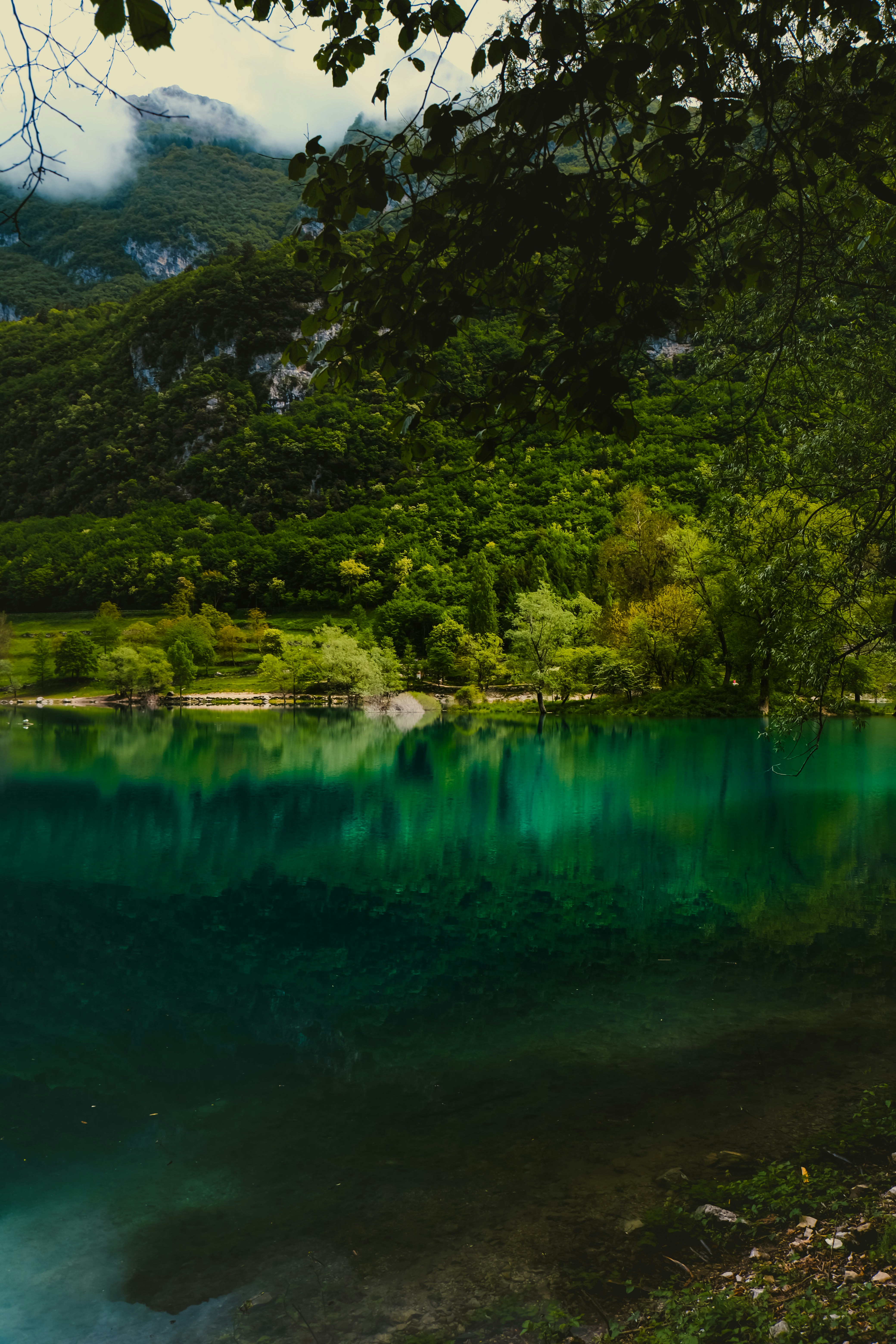 A beautiful lake surrounded by lush greenery.