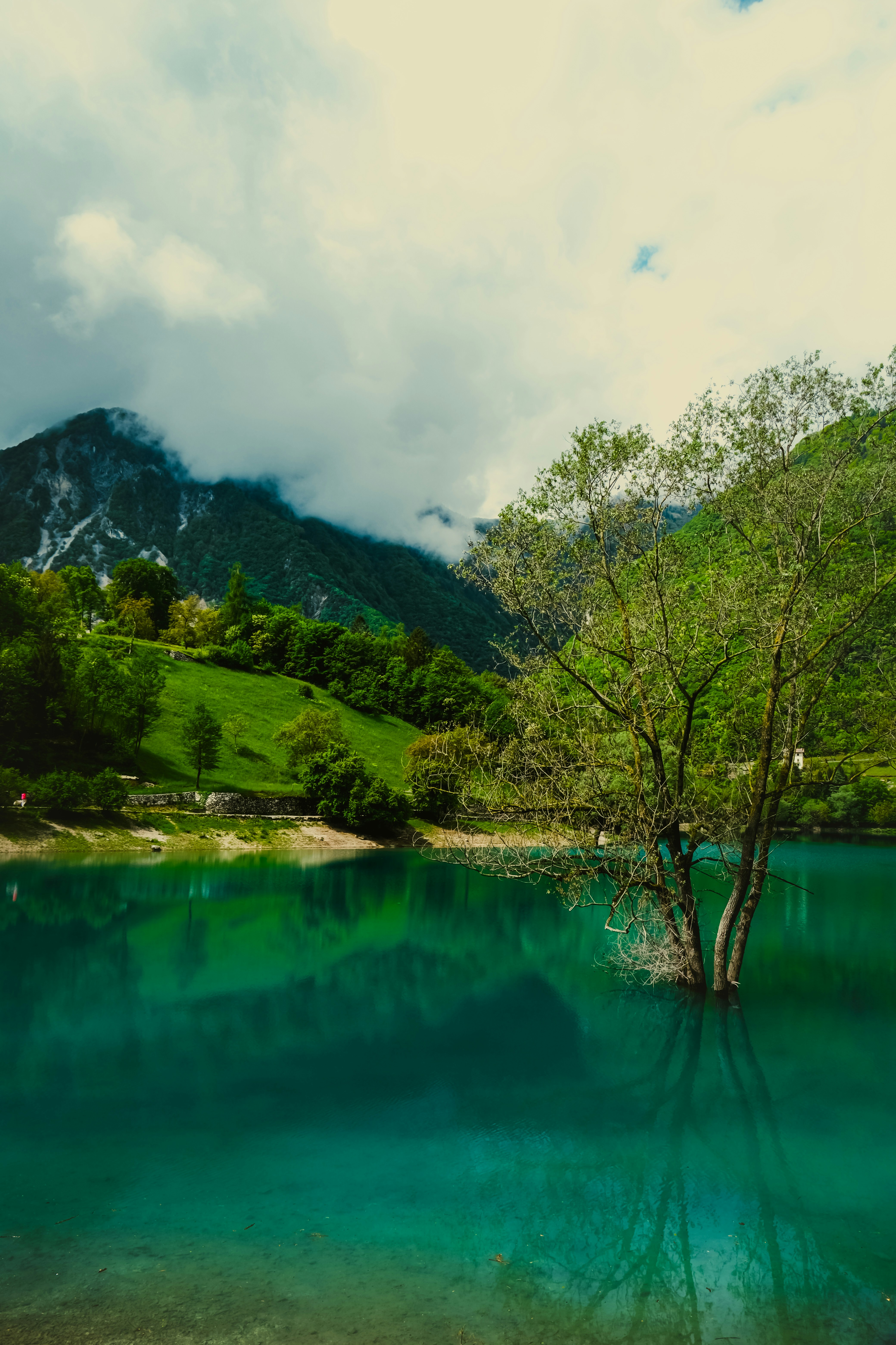 Photo by denisaficau