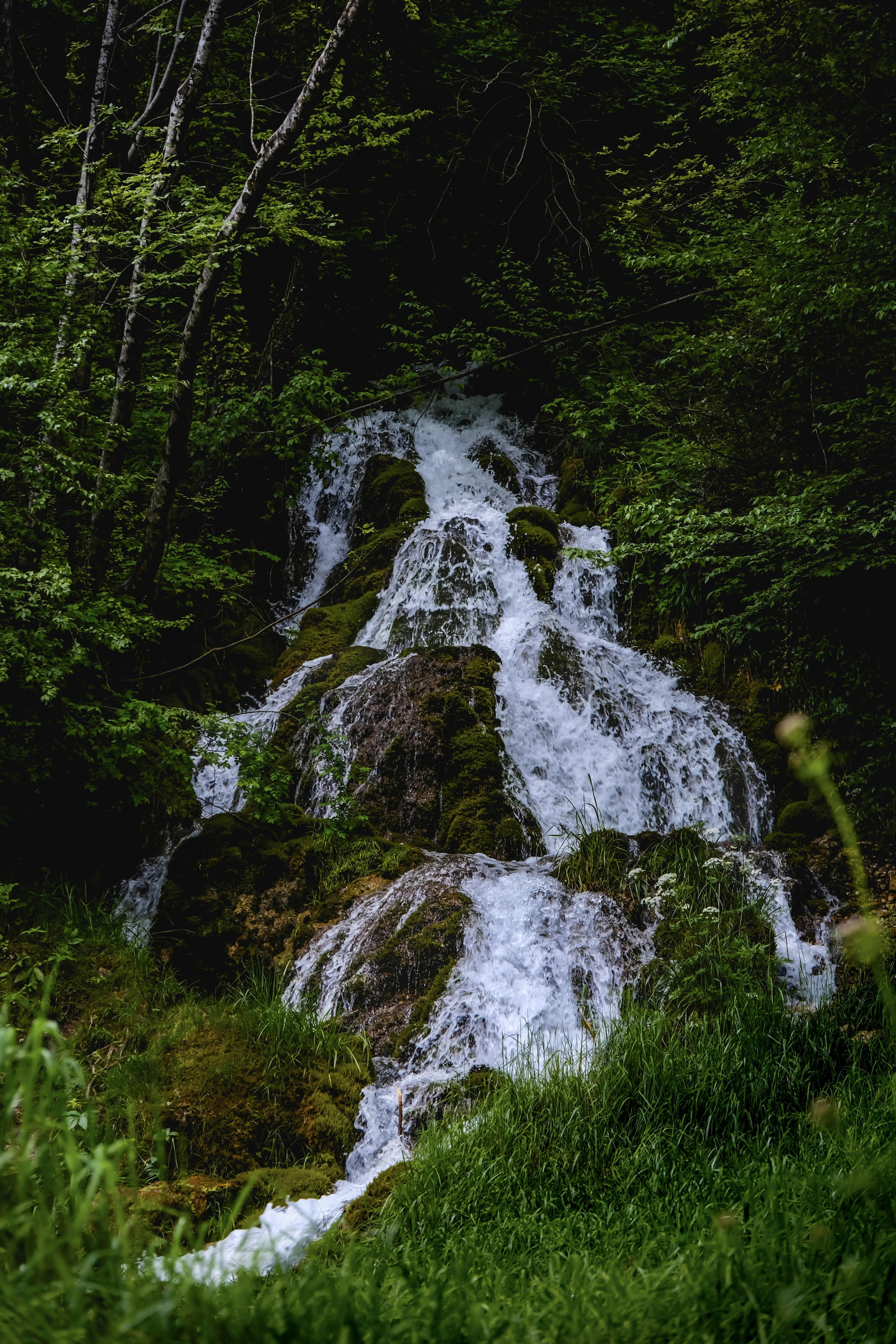 Photo by denisaficau