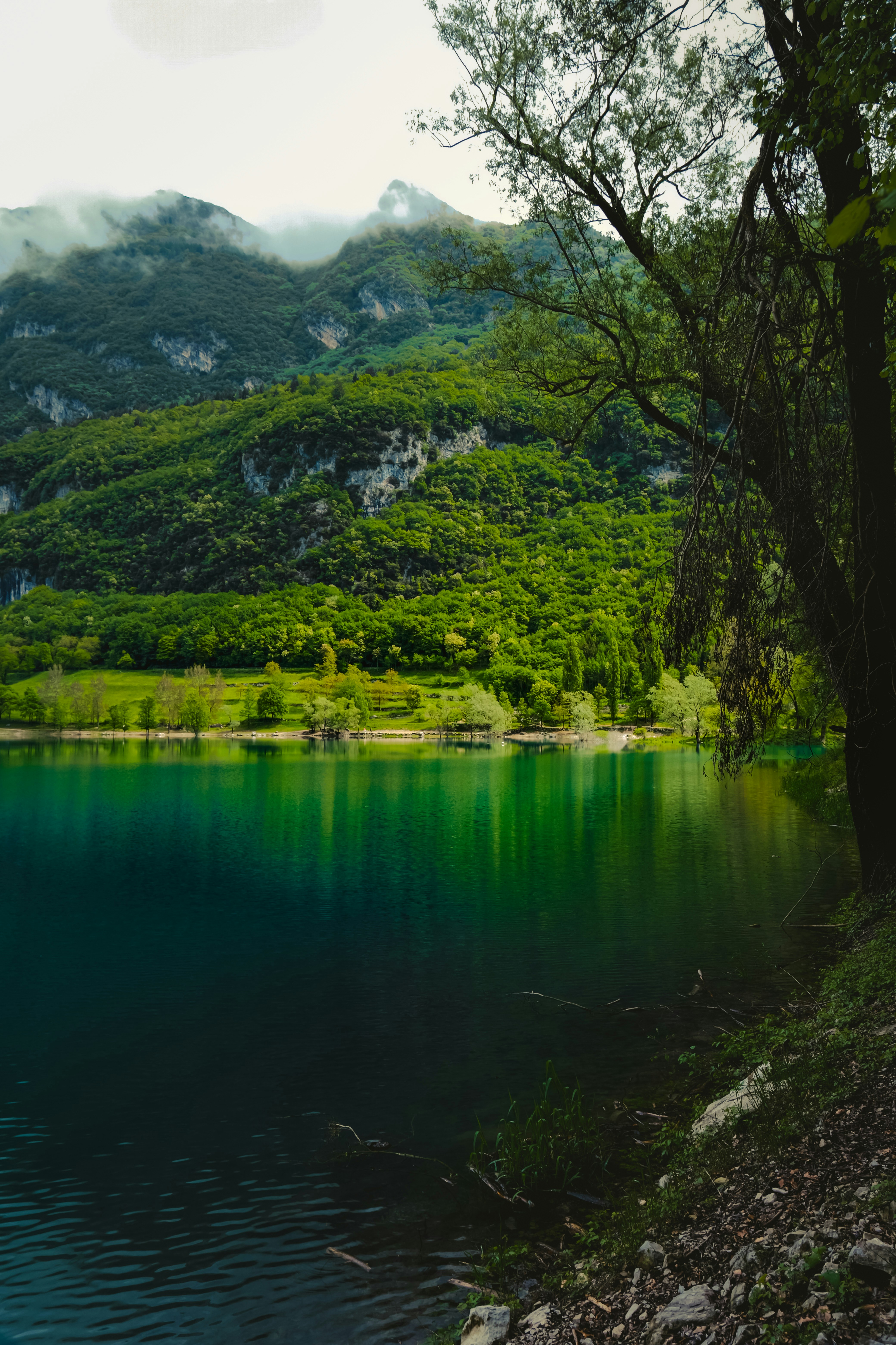 Photo by denisaficau