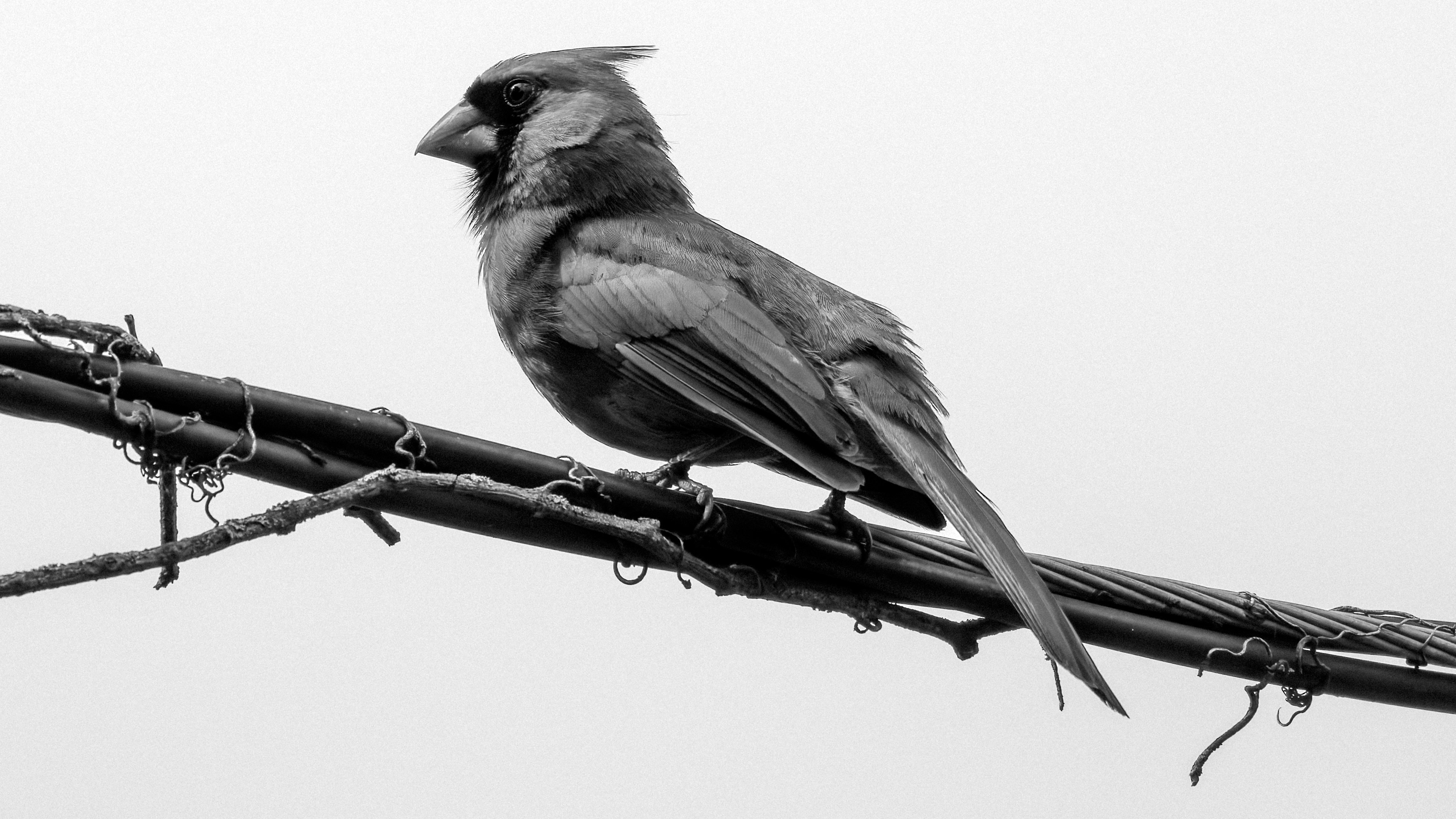 Photo by peterbbryan