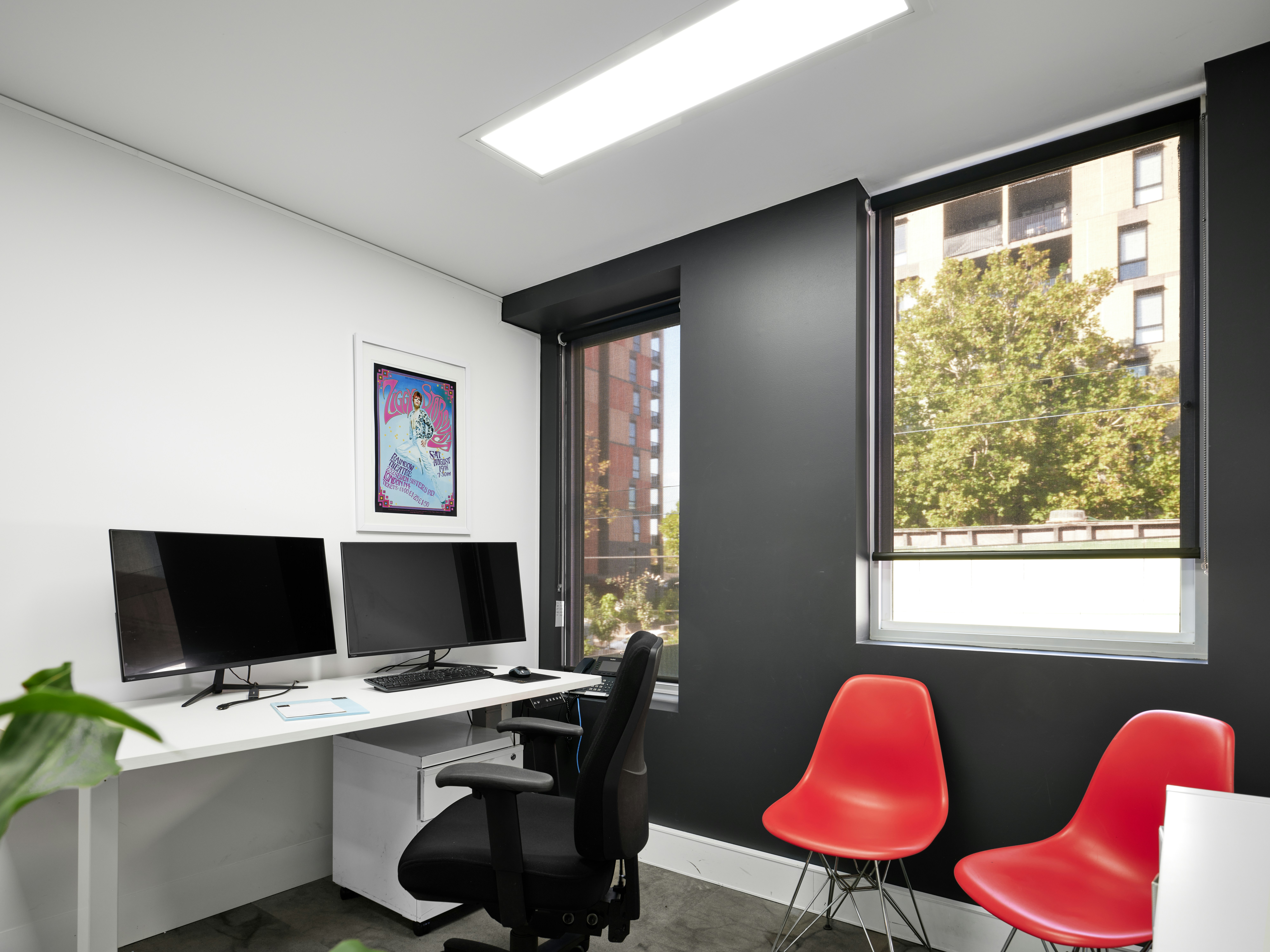 Photo by neonwangphotography