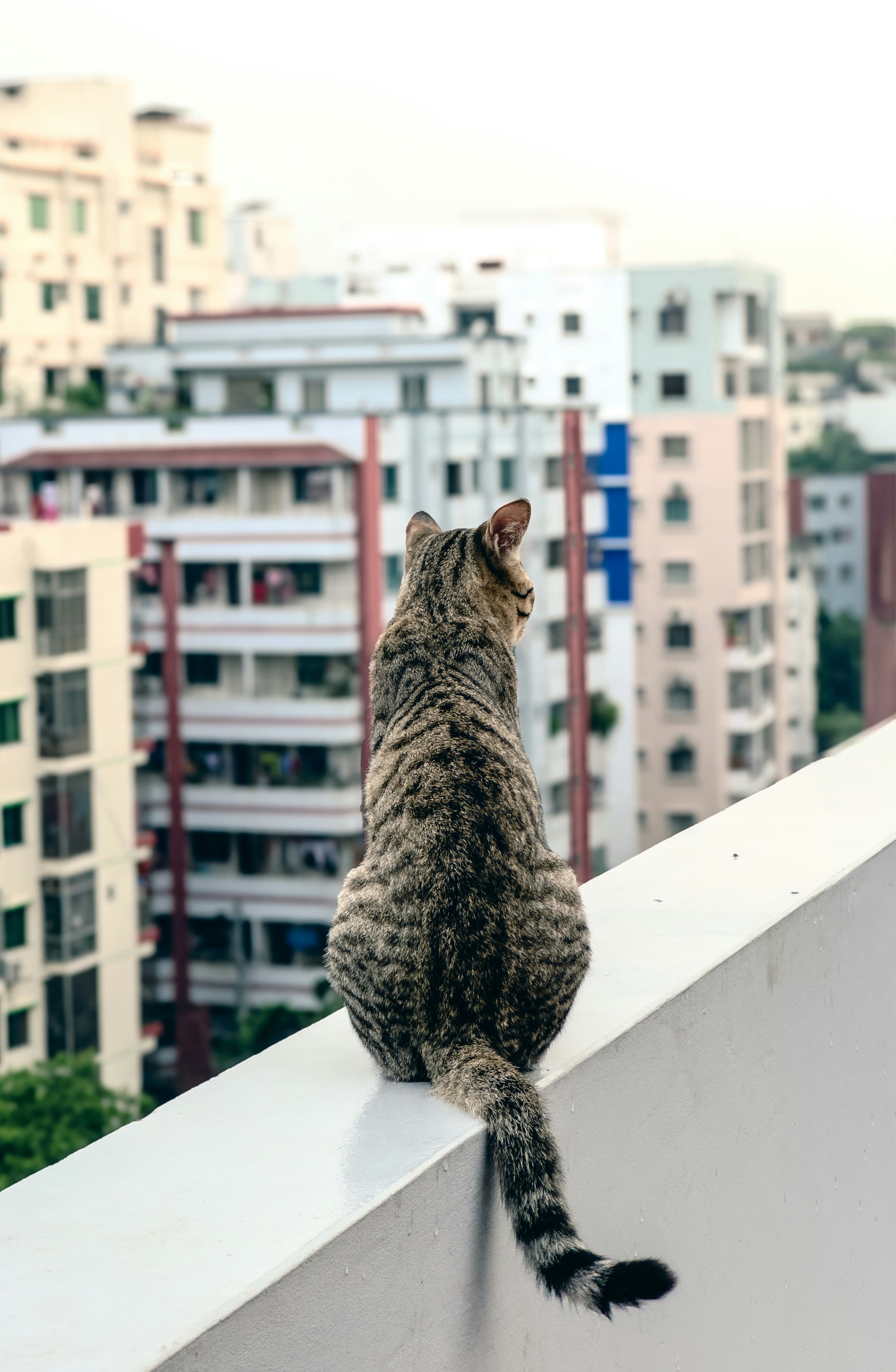 Observing Without a Fuss (image credits: unsplash)
