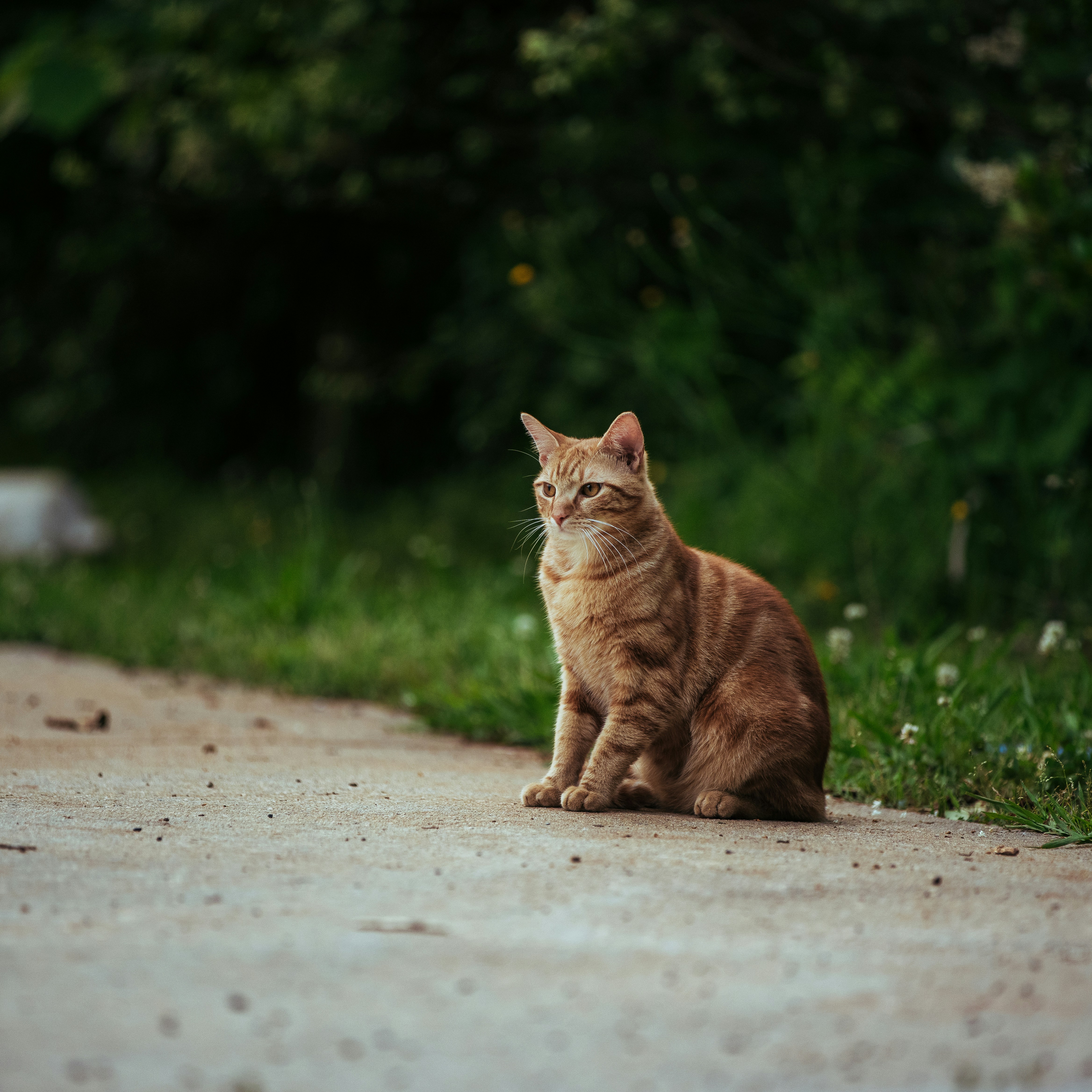 Photo by andrew_brackett