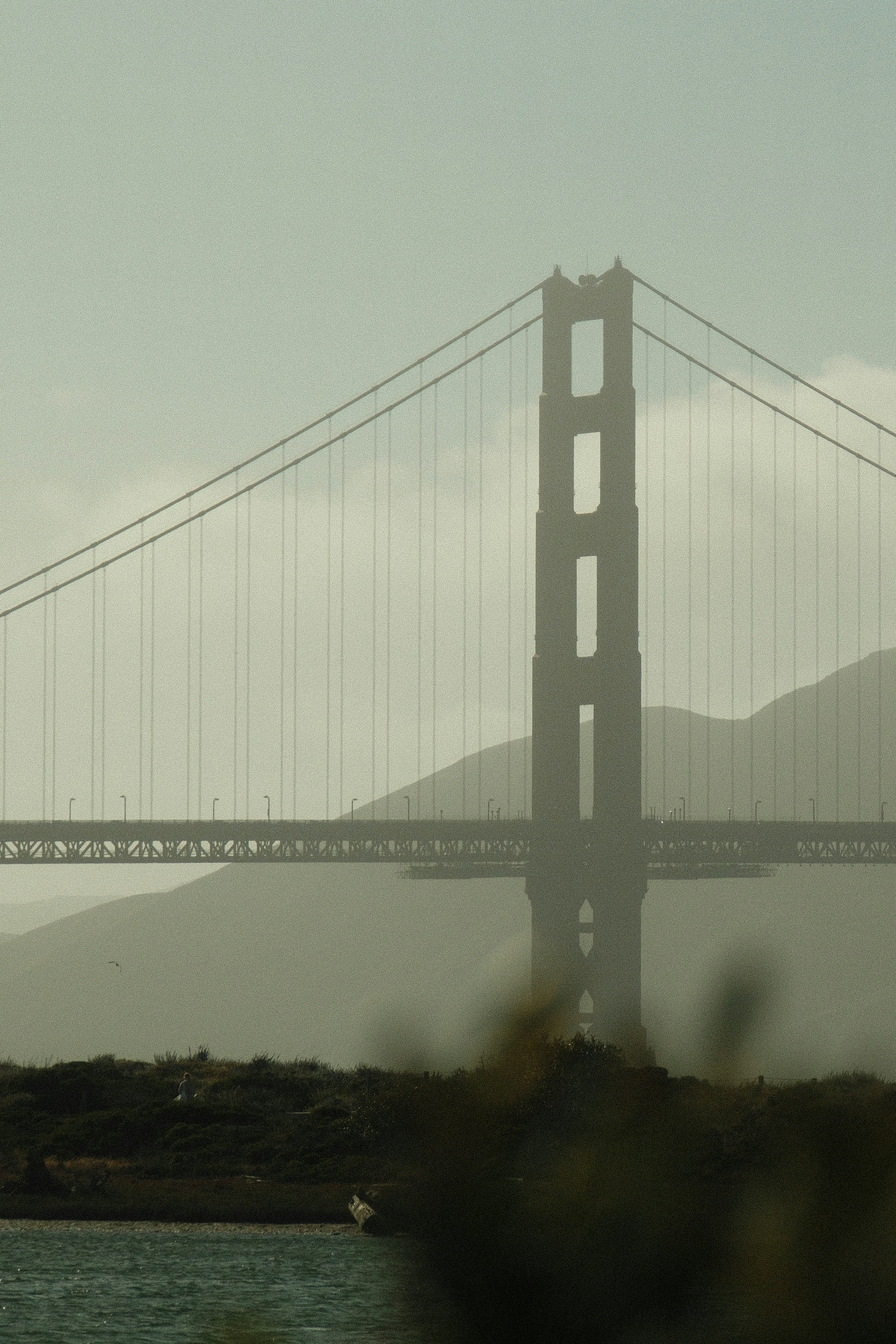 Photo by kalaniparker