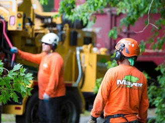 Tree workers operating heavy machinery on a job.