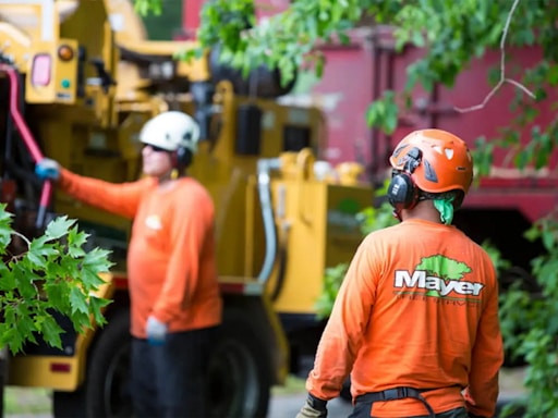 Tree workers operating heavy machinery on a job.