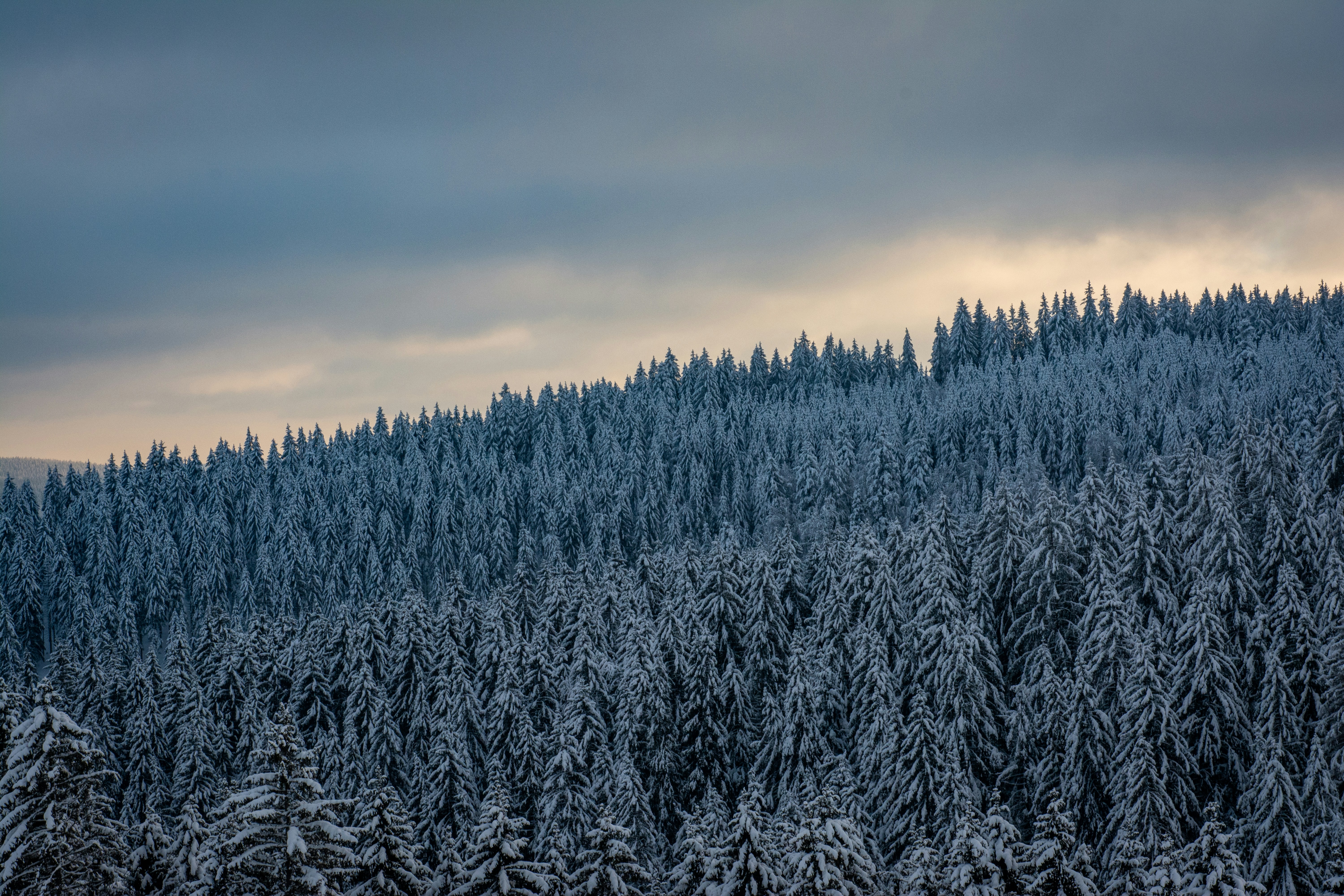 Photo by fabiankleiser