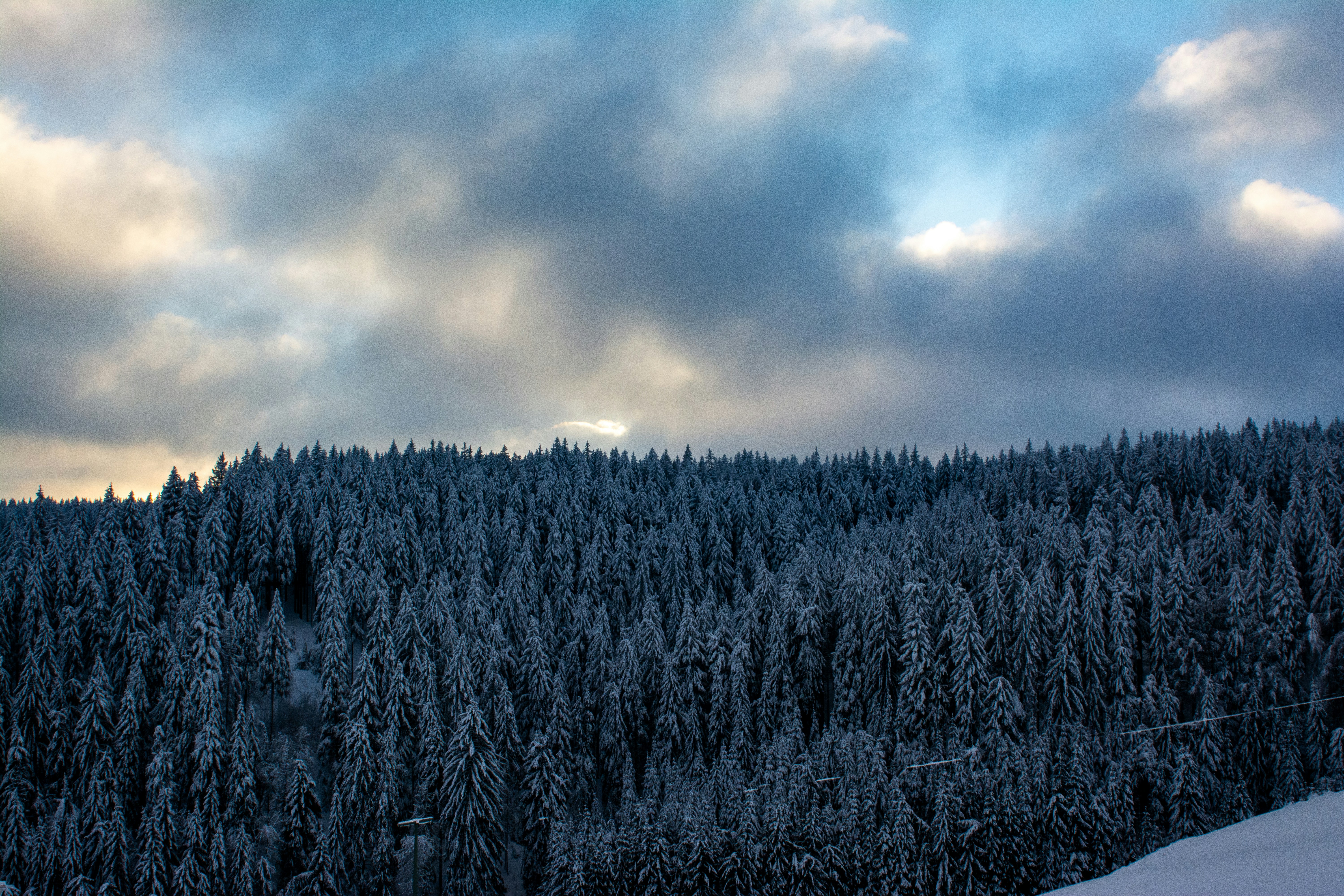 Photo by fabiankleiser