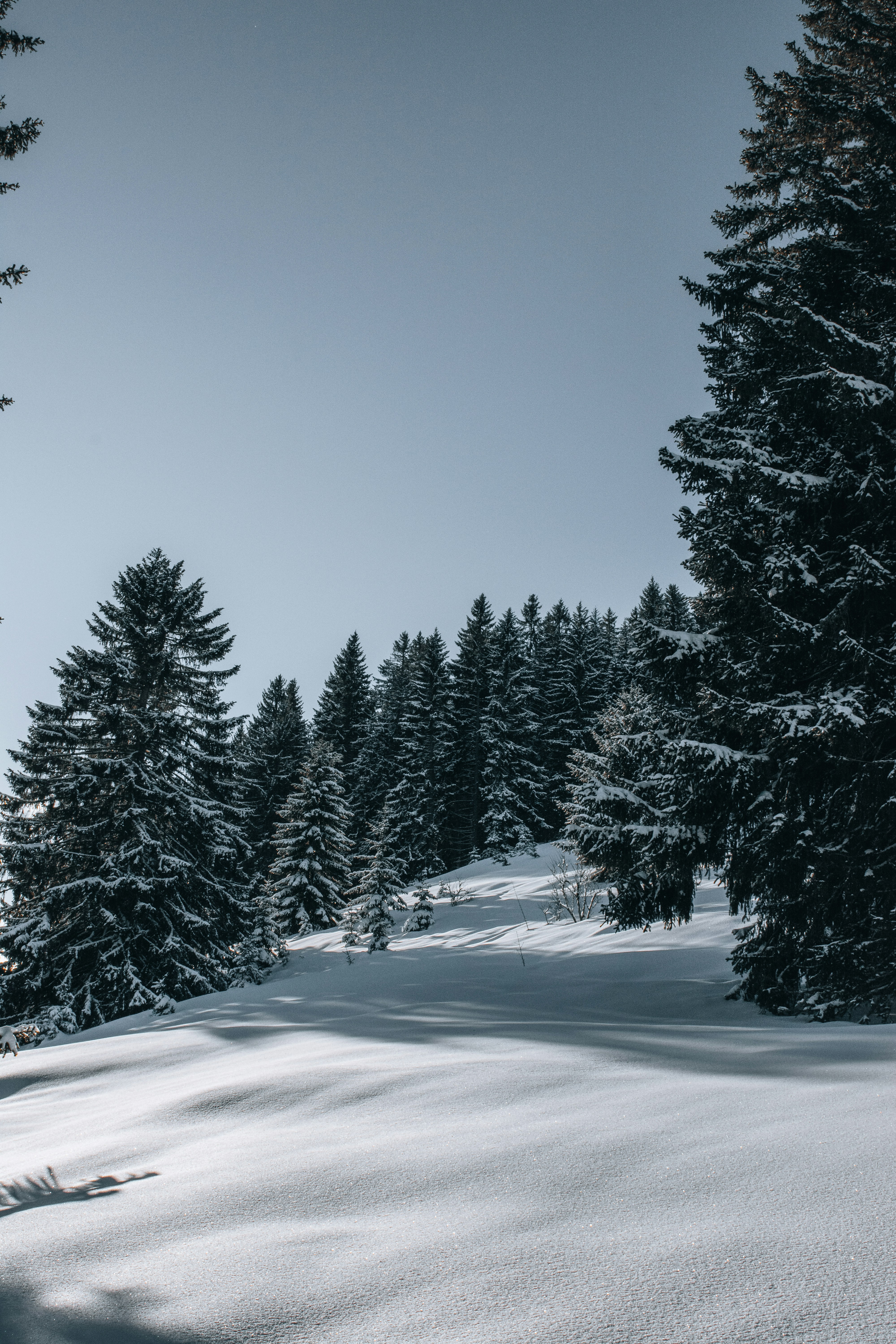 Photo by fabiankleiser