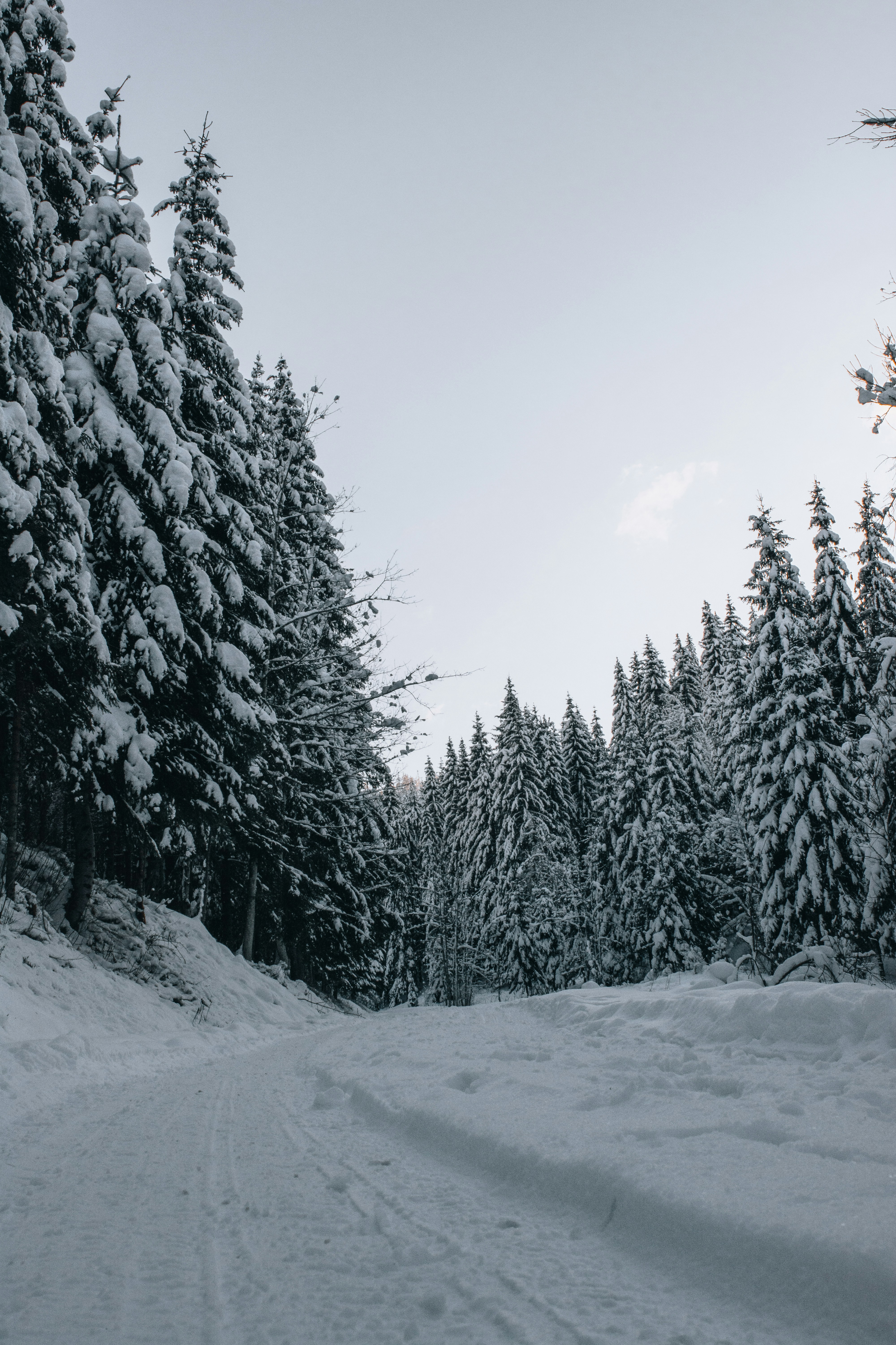 Photo by fabiankleiser