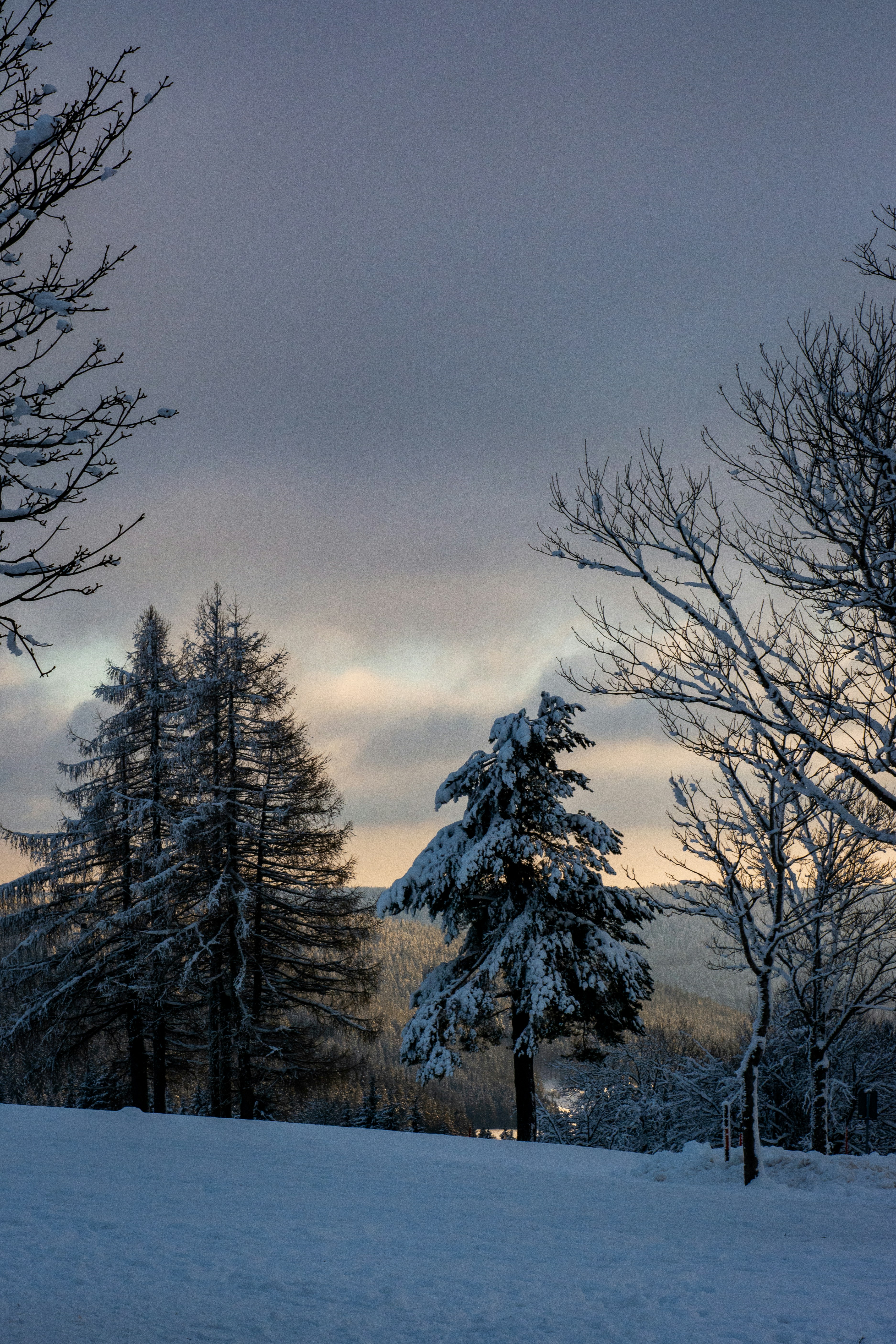 Photo by fabiankleiser