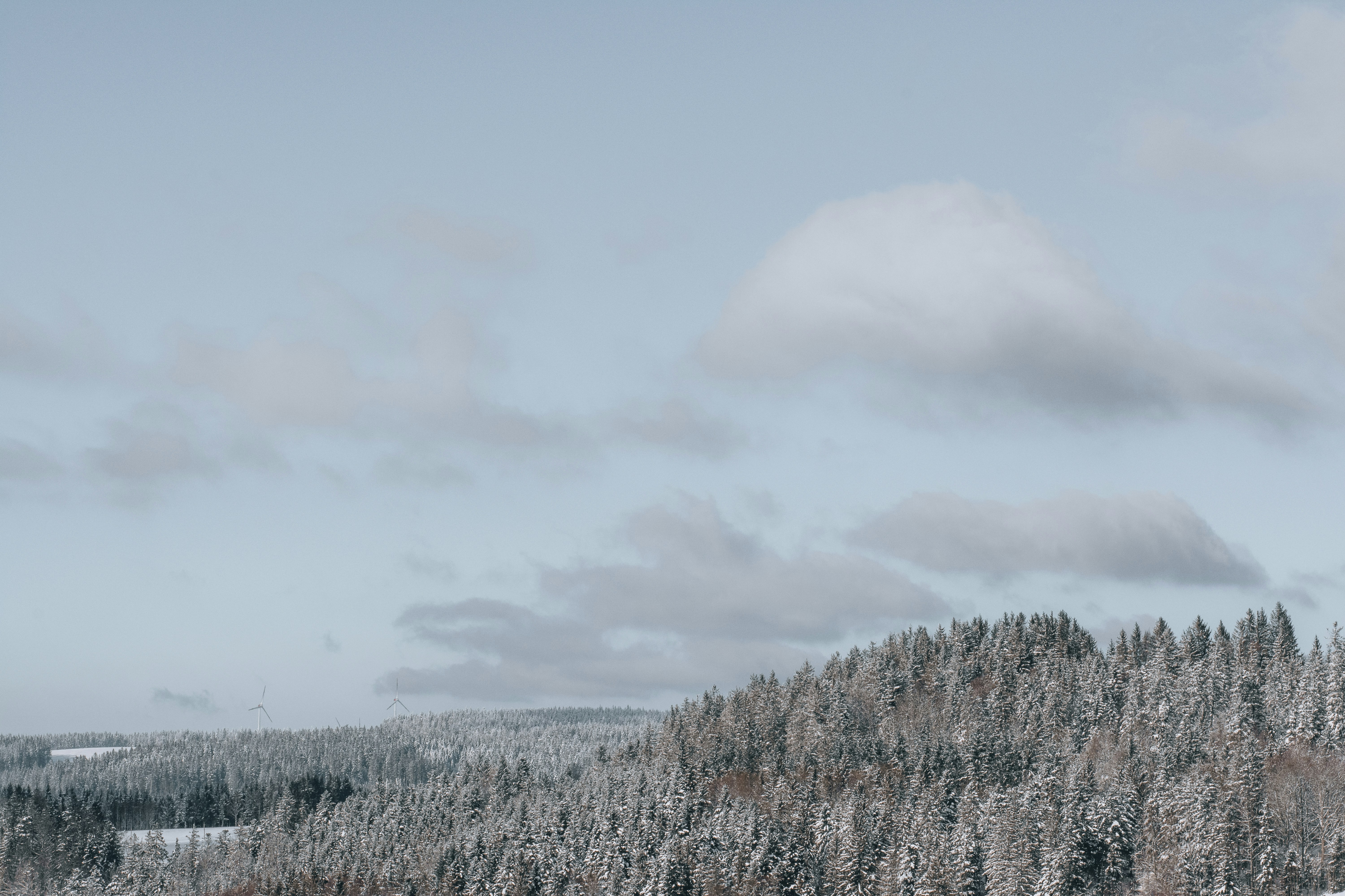 Winter forest with wind turbines