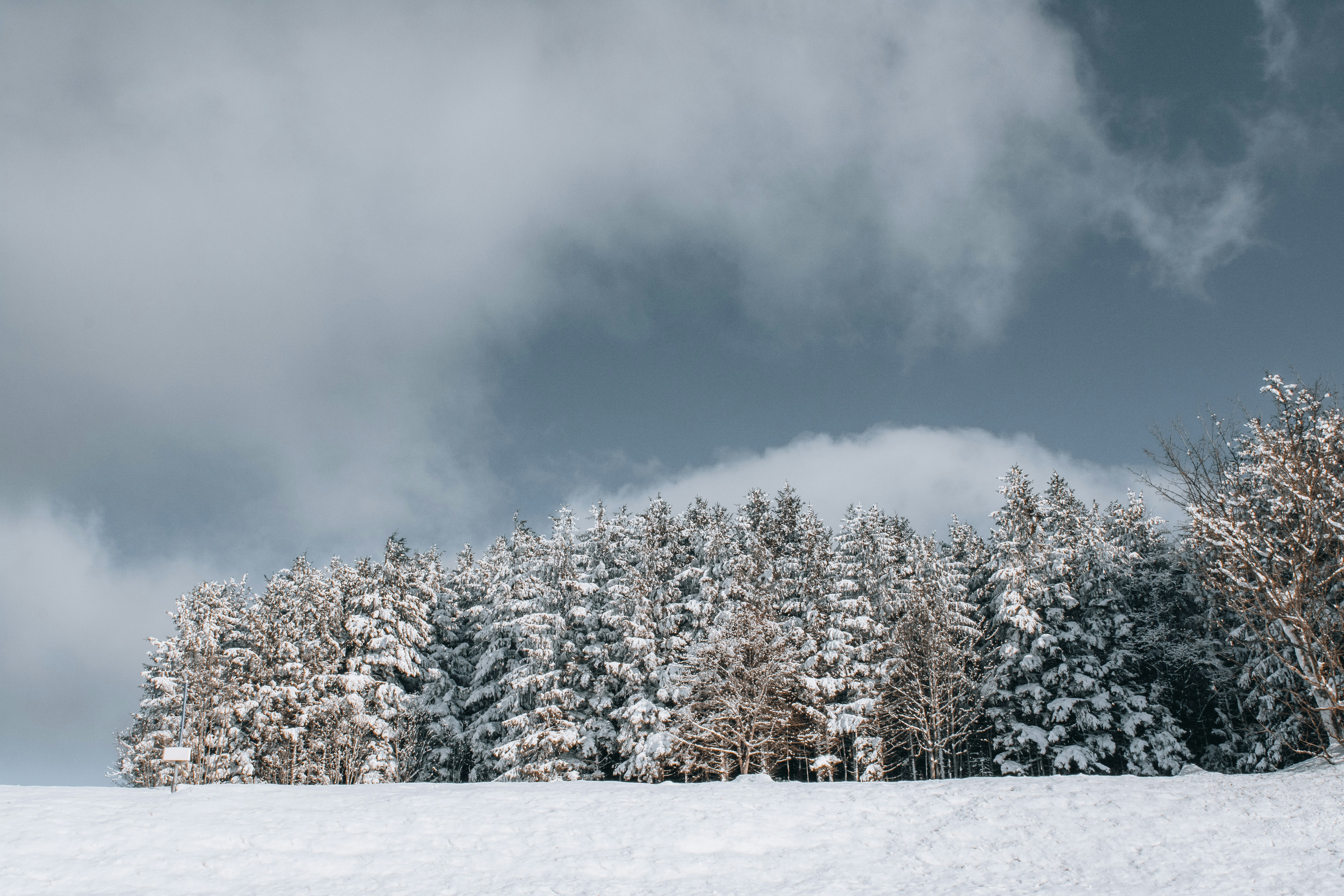 Photo by fabiankleiser