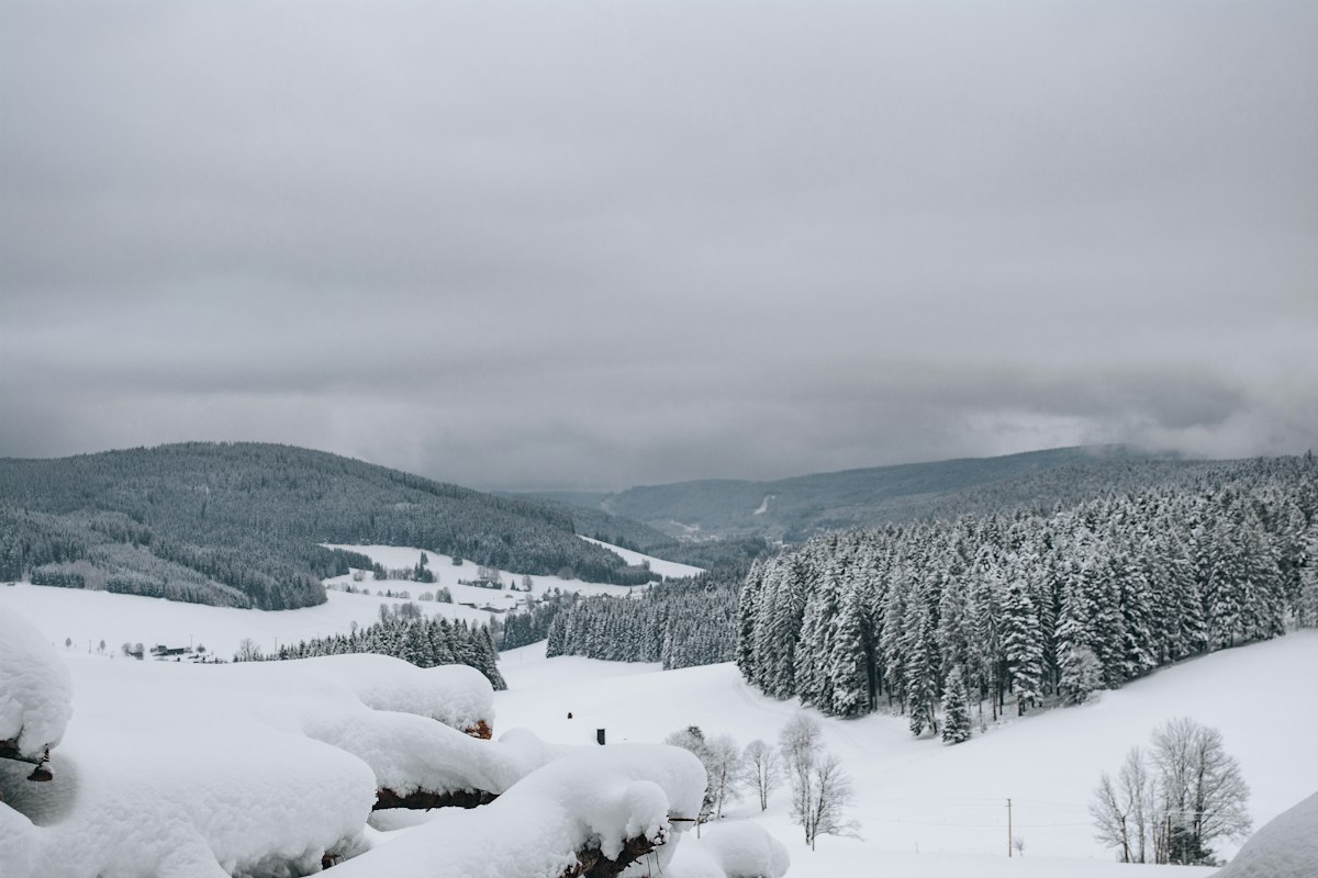 Rogla photo 1