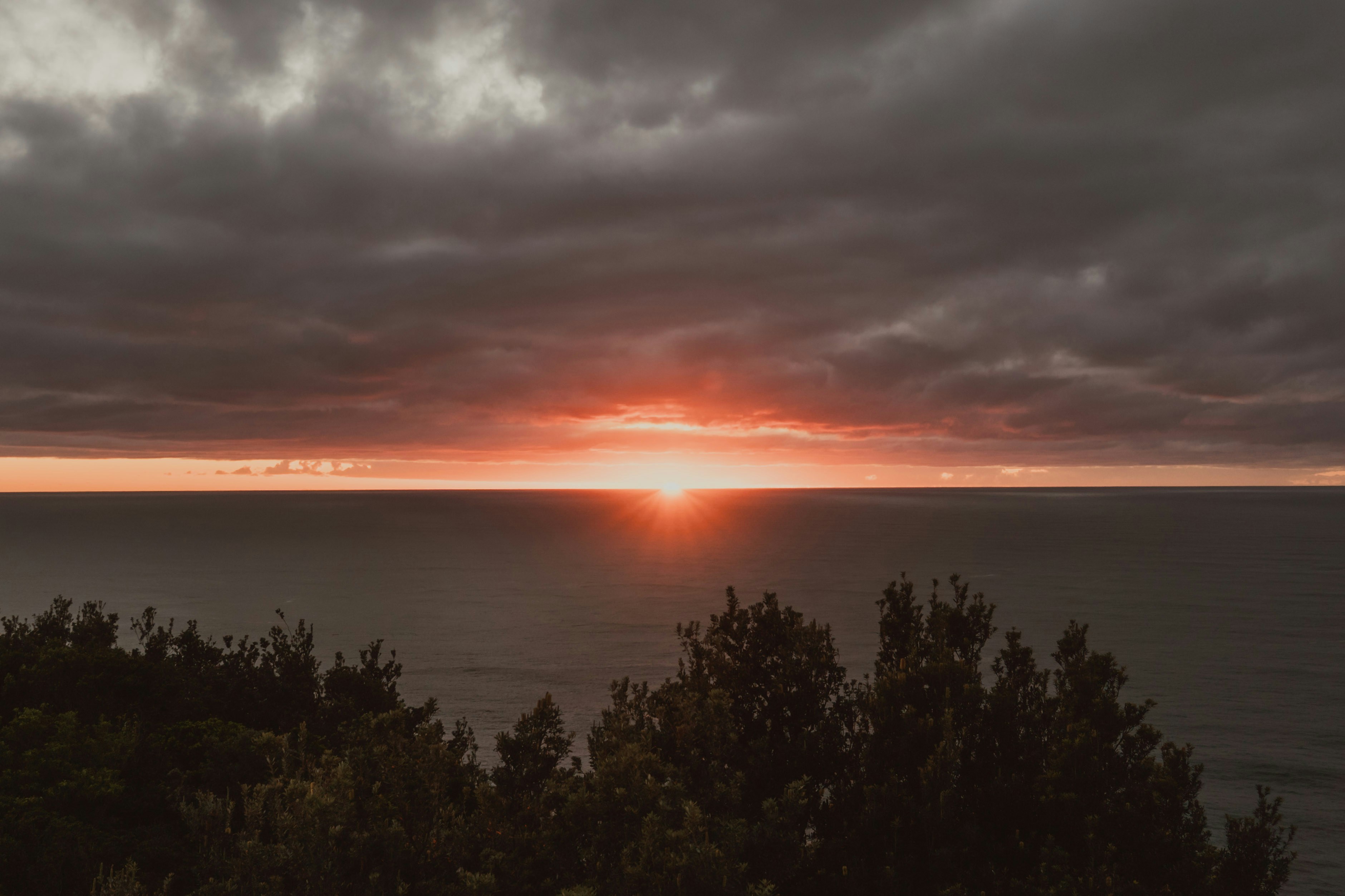 Photo by graceannefully