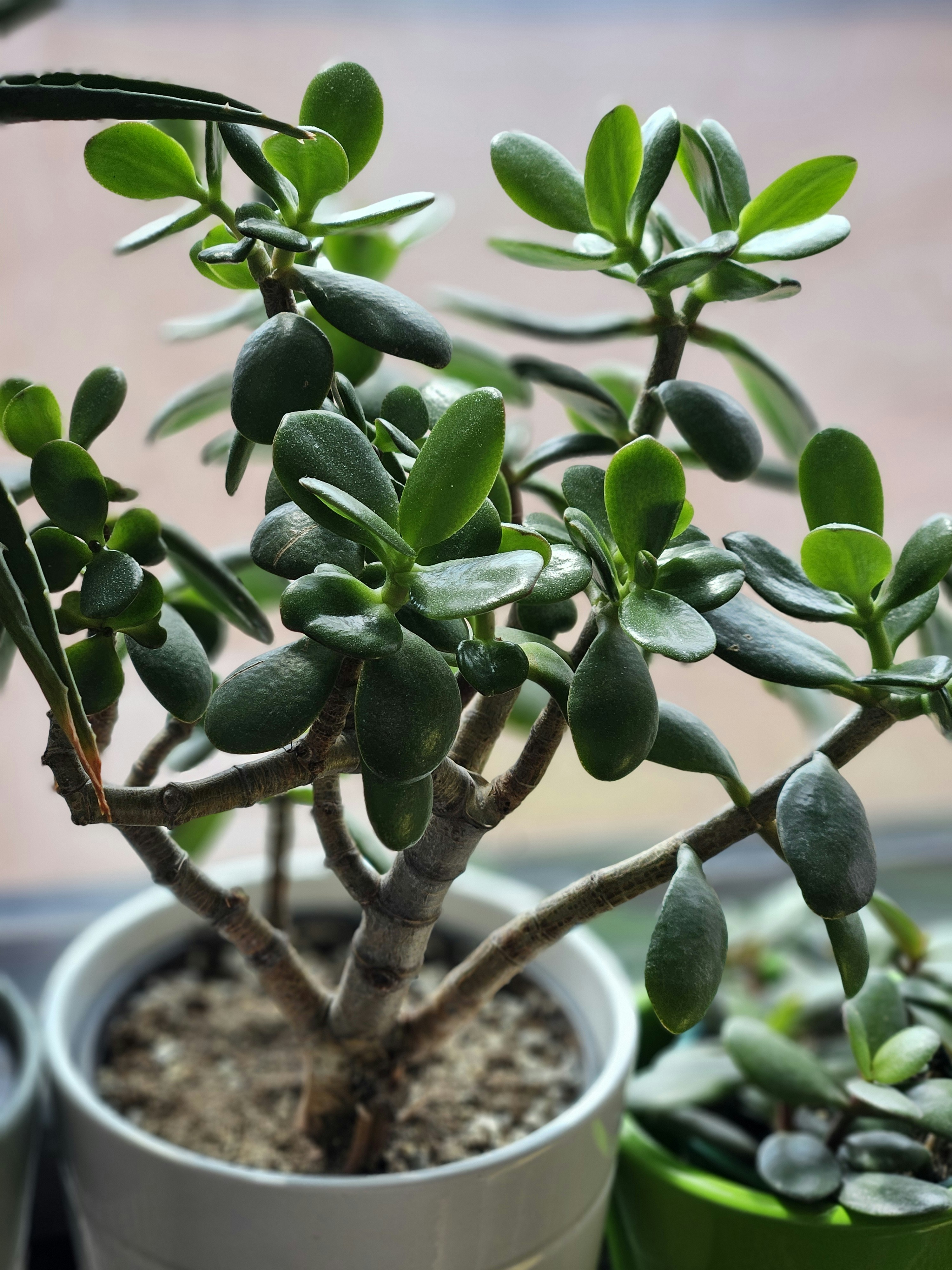 Photo by marjorylucabaxter