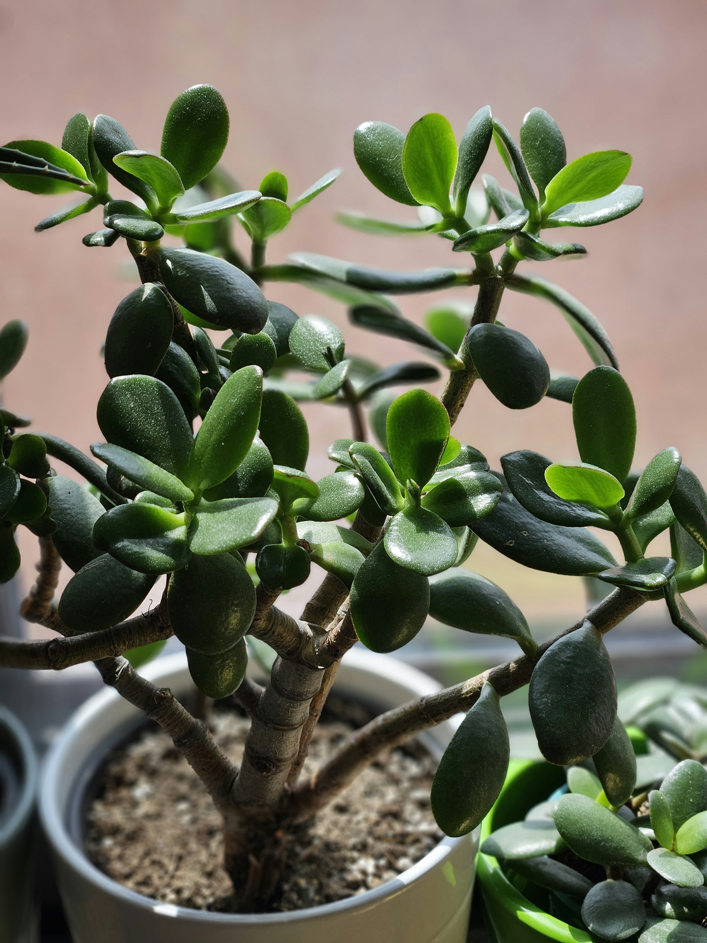 Photo by marjorylucabaxter