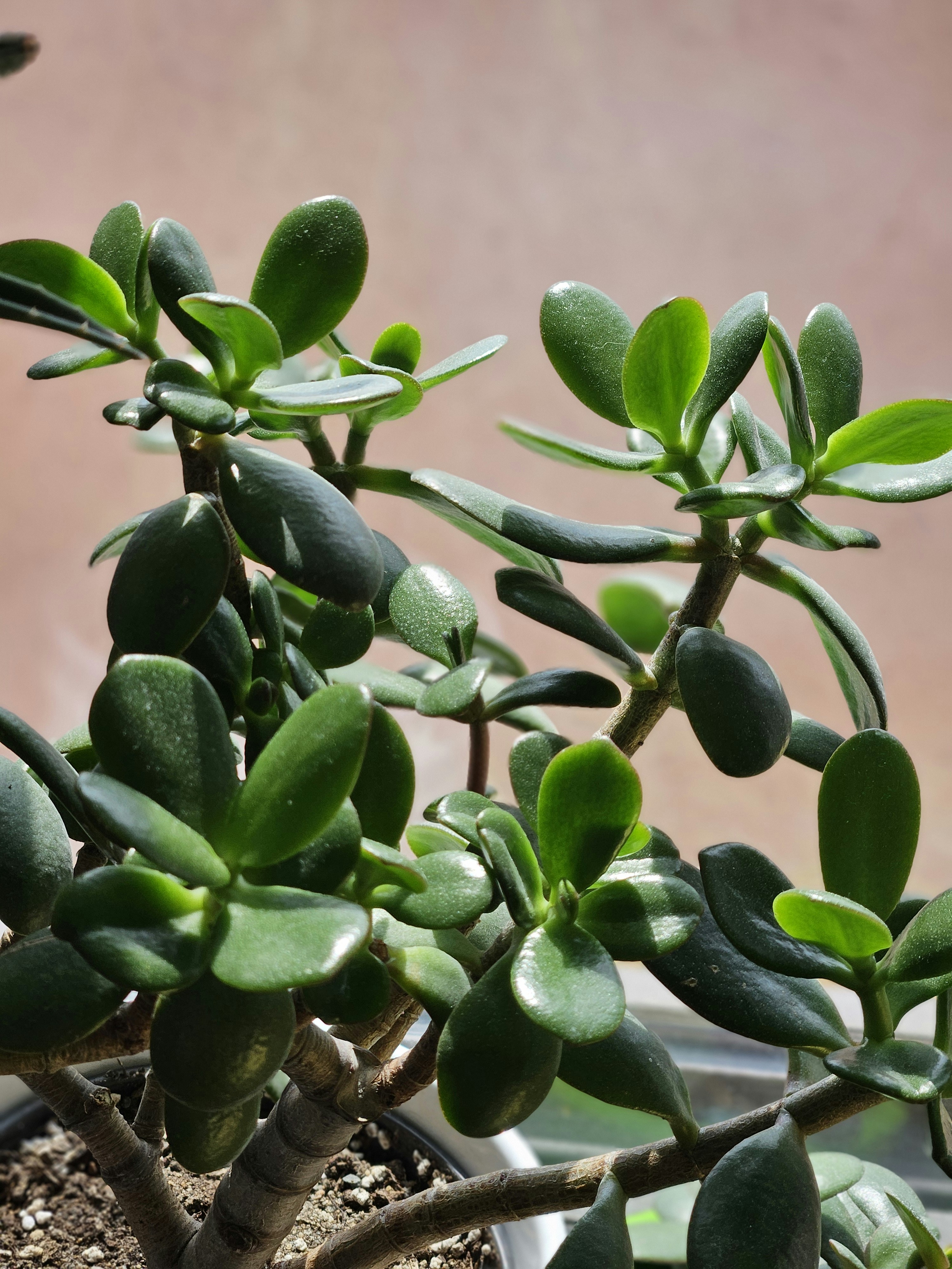 Photo by marjorylucabaxter